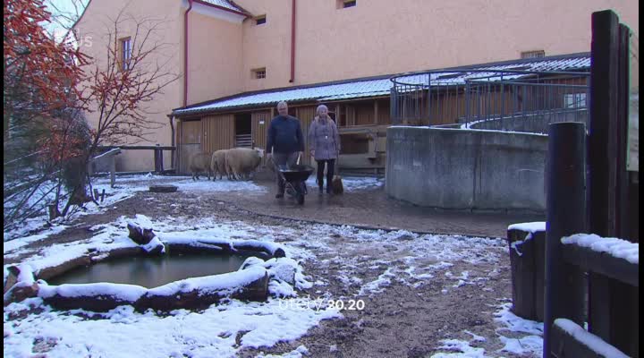 Co přinese celkově 1 000. díl Ordinace v úterý?