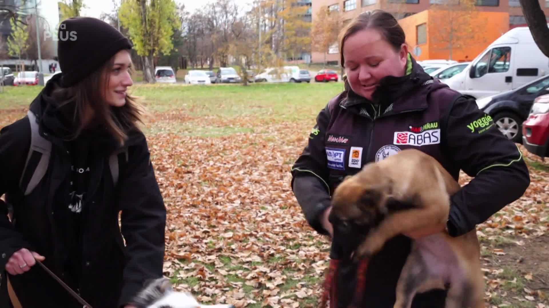 To jste nečekali: Kráska ze seriálu Ulice v reálu bojuje proti pašerákům!