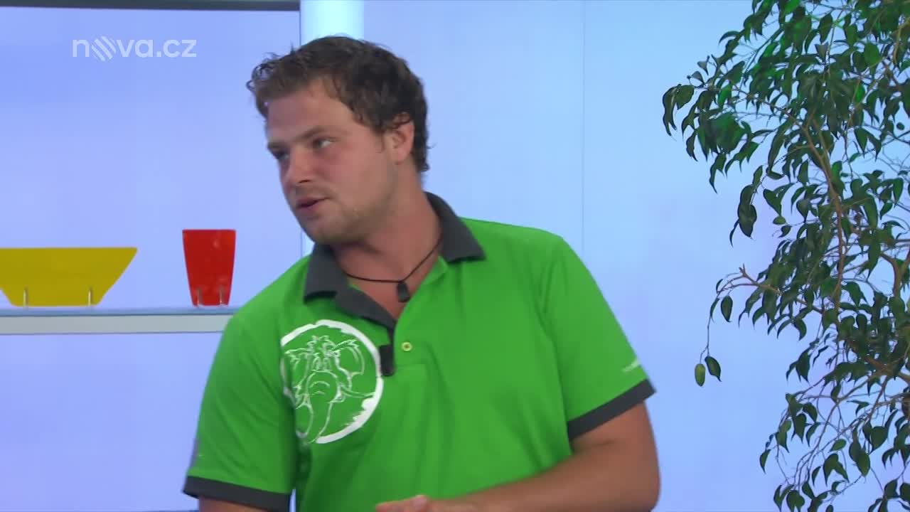 Podzim je na draka! Vyrobte si originální exemplář, který vám budou všichni závidět