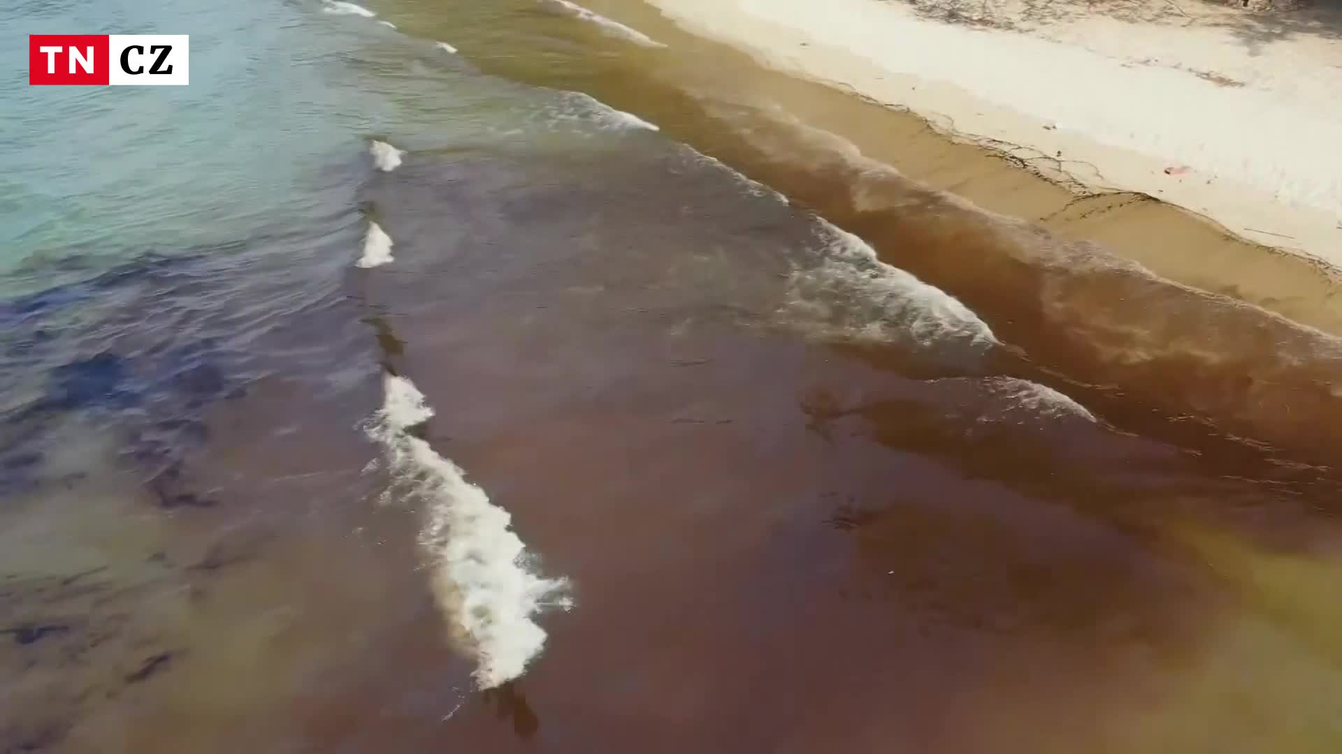 Unikající ropa zničila oblíbenou pláž. Náprava potrvá roky, prohlásil biolog