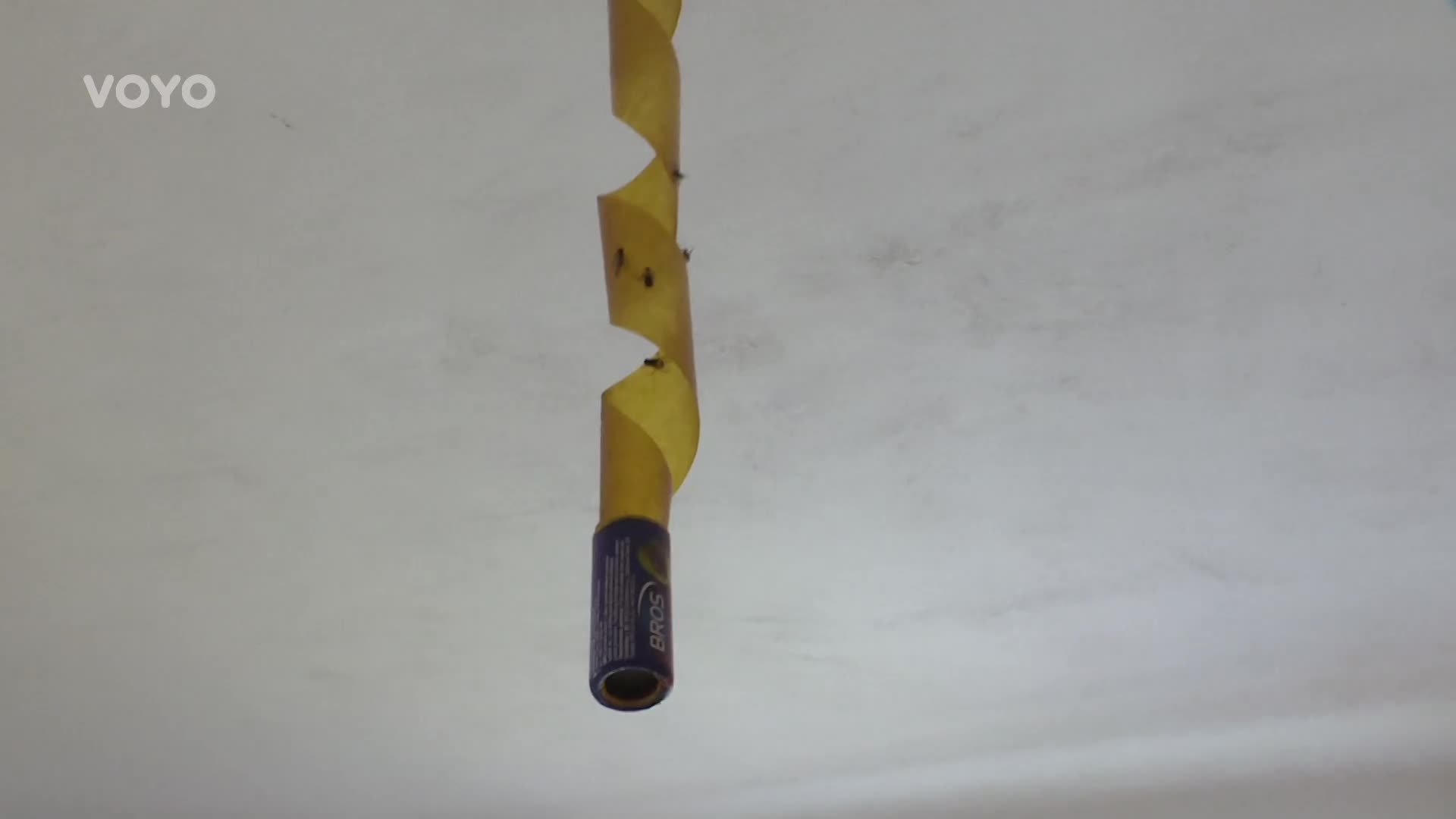 Hanka z Výměny by na mateřskou nešla: Jsem hyena, která honí prachy!