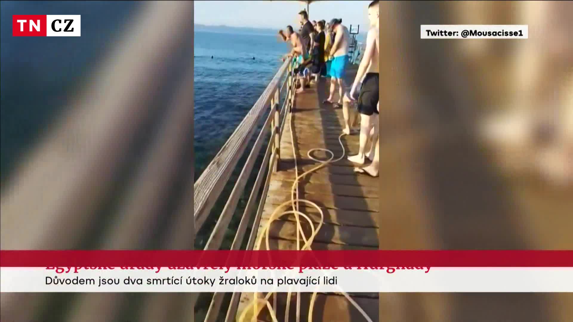 Dva útoky v jediný den. U Hurghady po napadení žralokem zemřela další žena