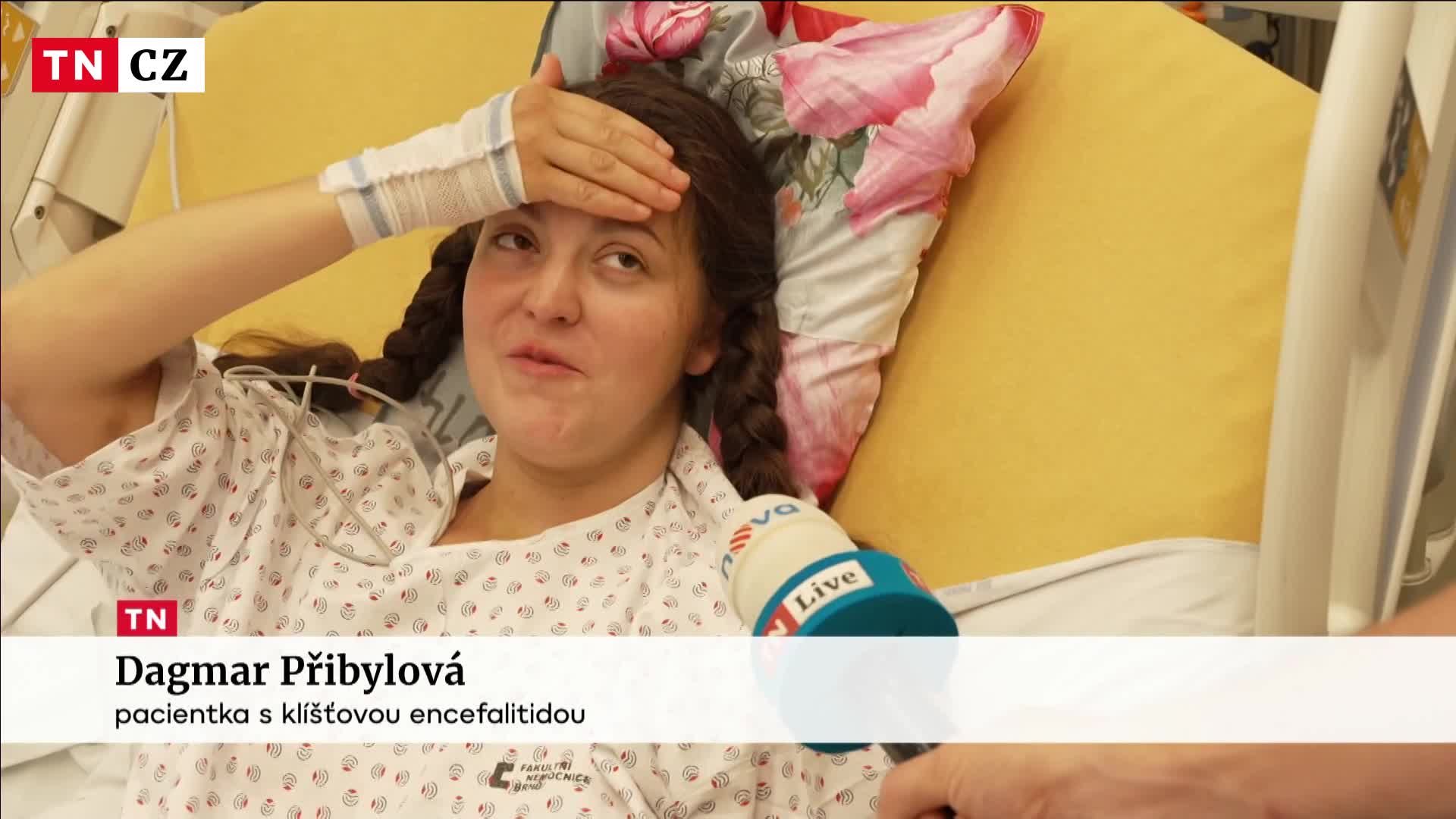 Klíšťata v Česku pořádně řádí! Na JIP skončila i mladá maminka čtyř dětí