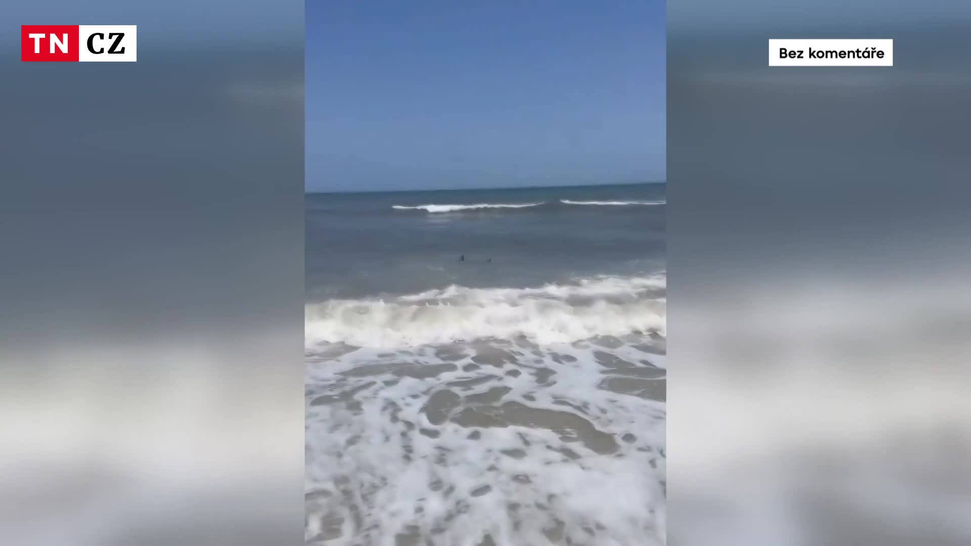 Šok na pláži. Vyděšené děti utíkaly z vody plné žraloků