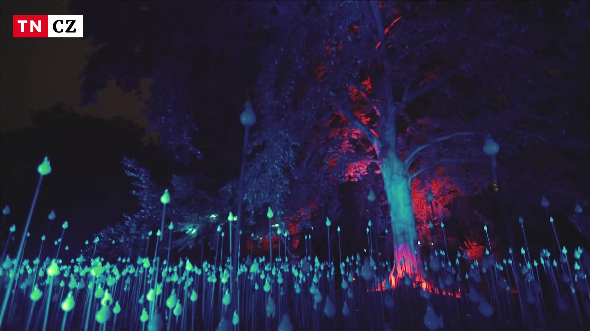 Signal Festival slaví 10 let. Podívejte se na pět nejlepších míst, kam vyrazit