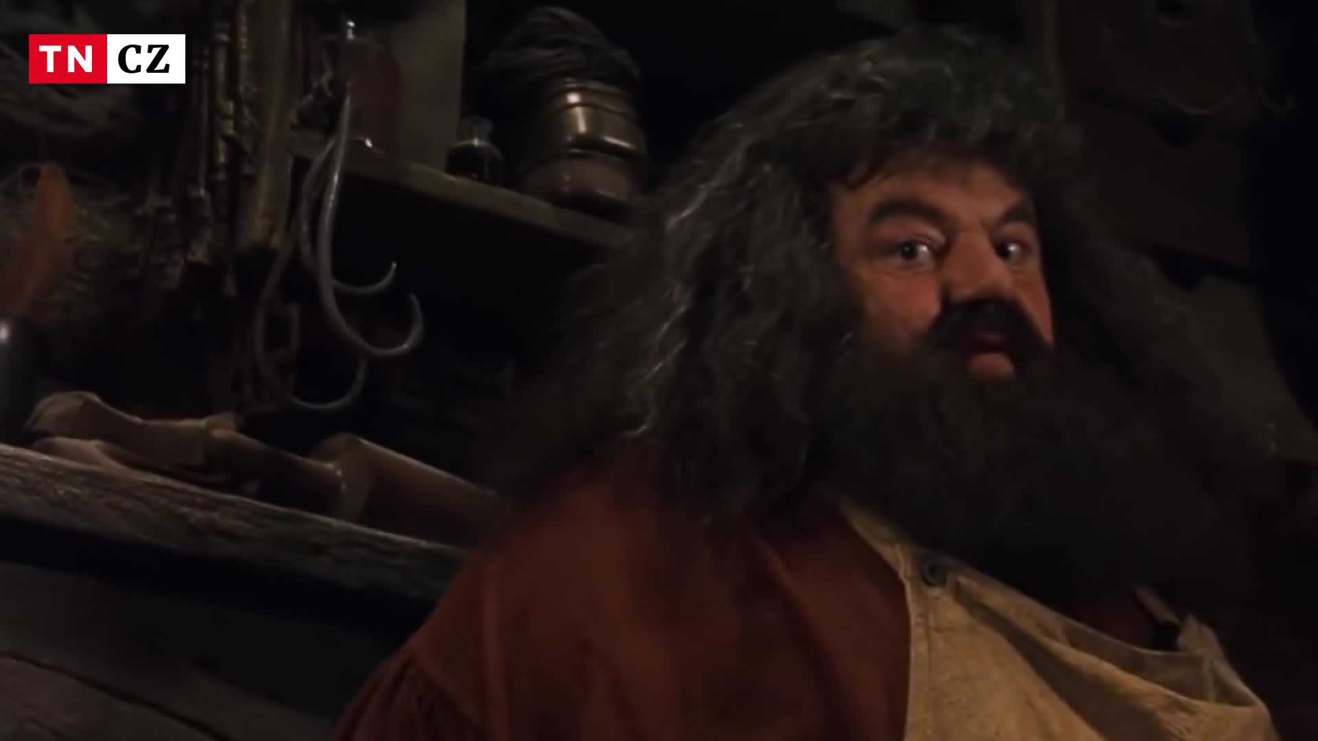 Fanoušci Harryho Pottera truchlí. Zemřel Robbie Coltrane, představitel Hagrida