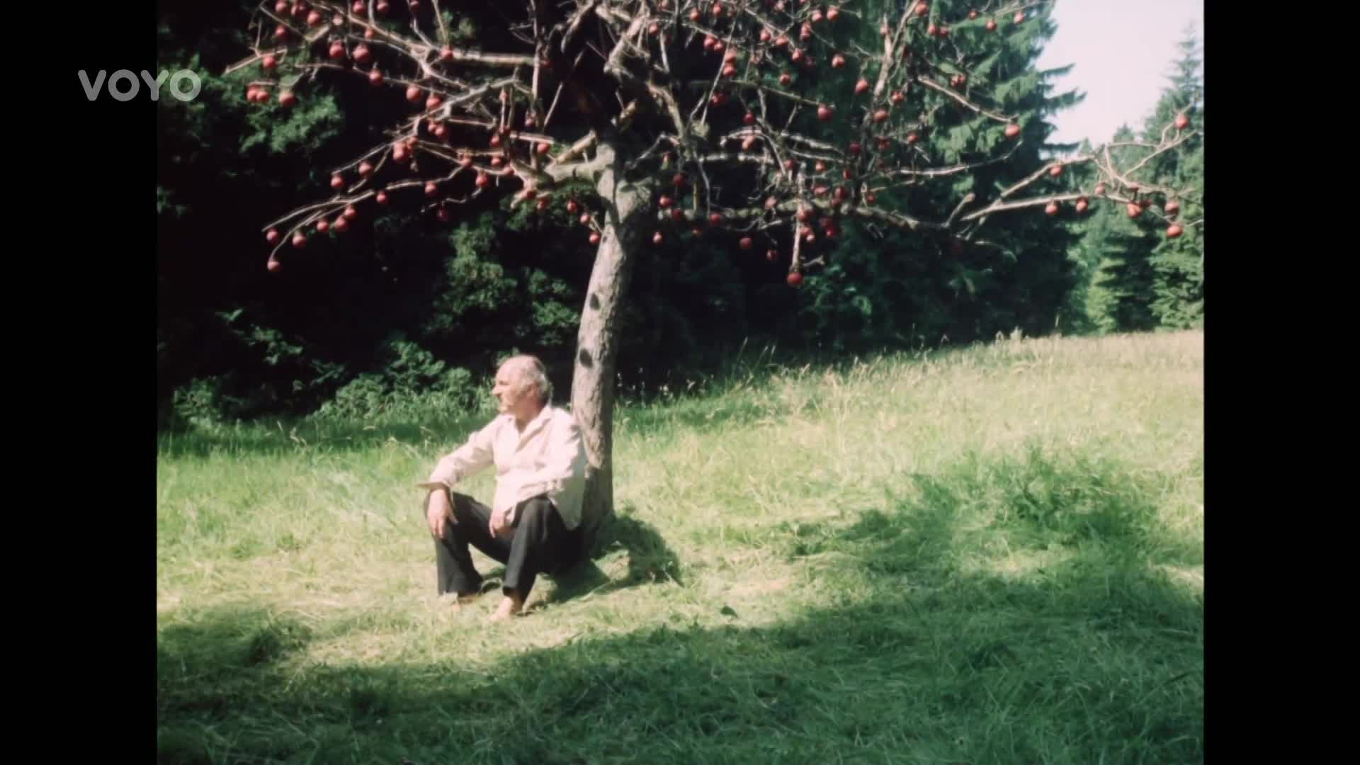 Nezapomenutelné role Josefa Somra: Který film je váš nejoblíbenější? 2