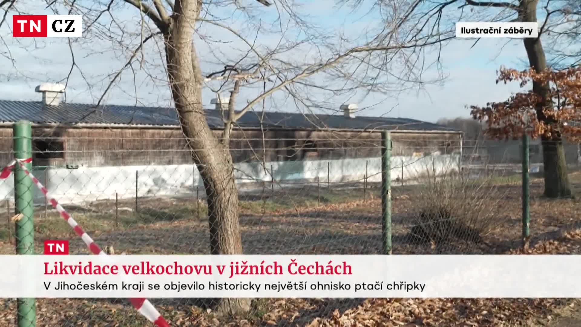Na jihu Čech se objevila ptačí chřipka. Veterináři utratili 15 tisíc kachen
