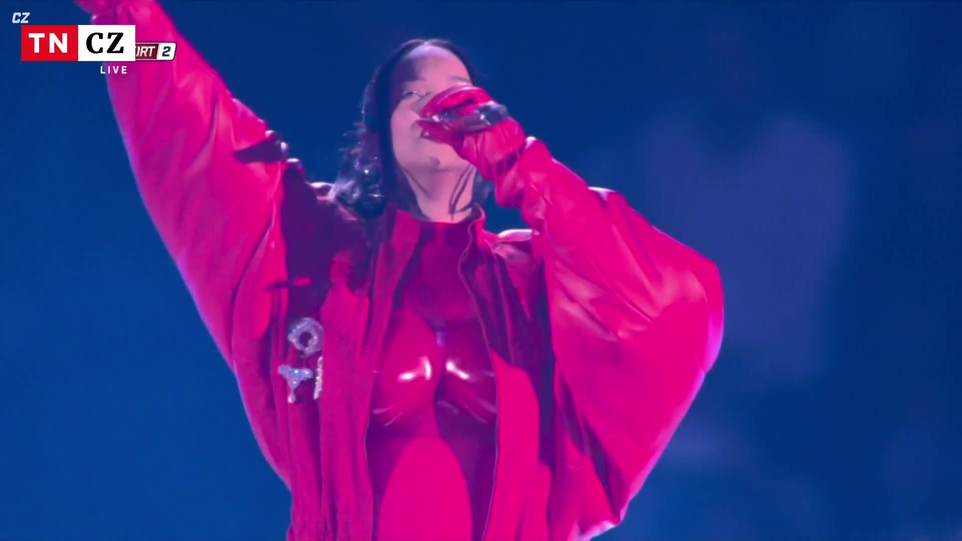 Během přestávky vystoupila na Super Bowlu Rihanna. Spekuluje se, že je znovu těhotná