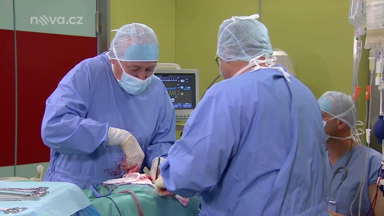 Ordinace: Bobo resuscituje svoji matku Libušku
