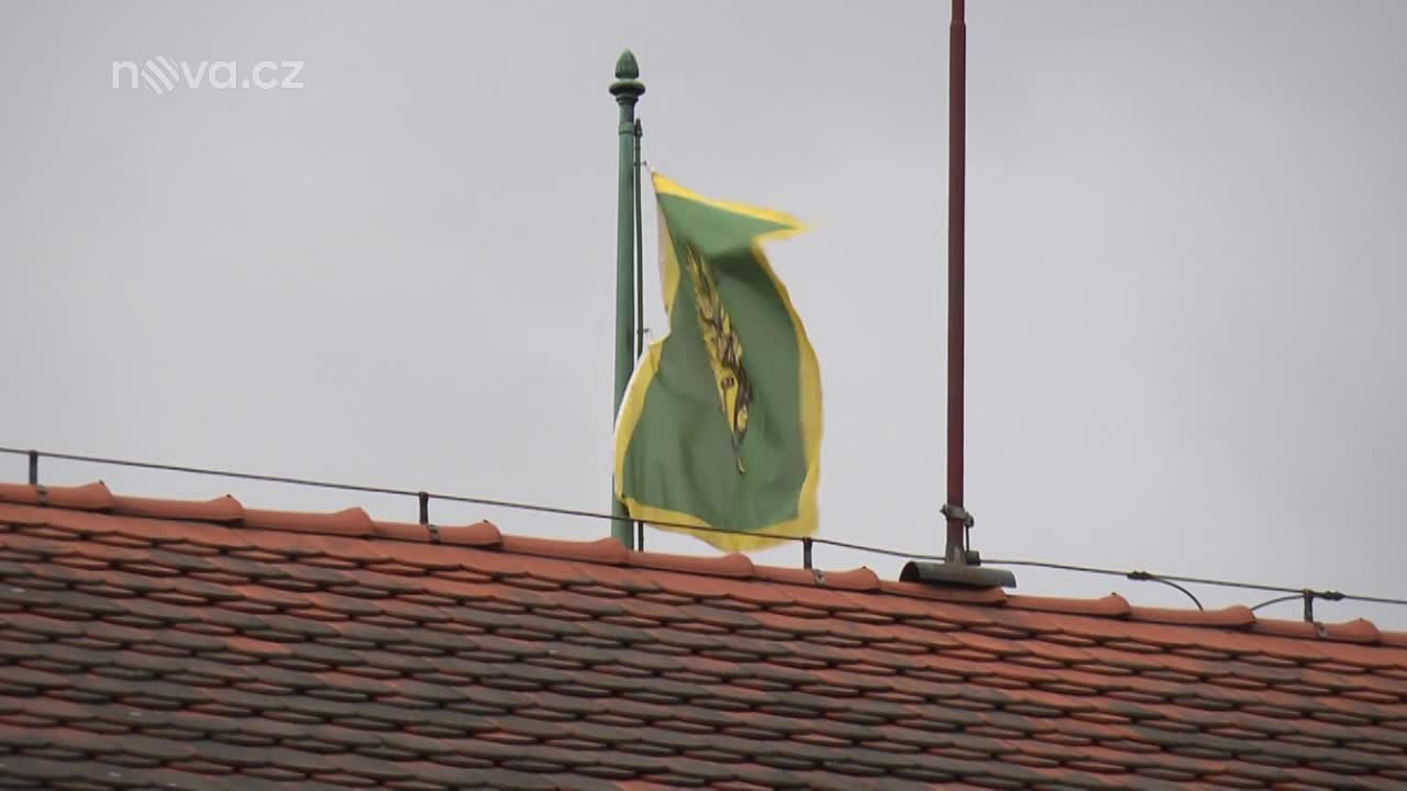Podívejte se, jak vyrostly: Takhle vypadají děti oblíbených moderátorek!