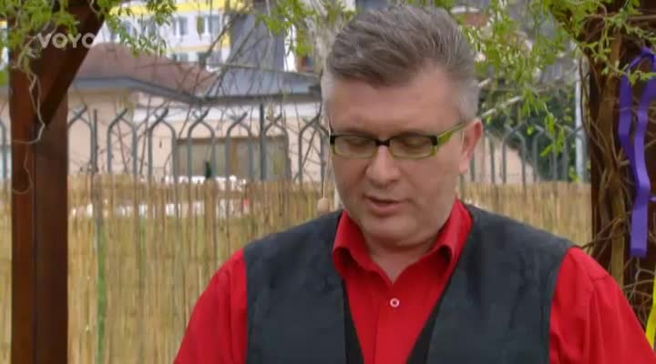 Loskuták: Květina Cinerárie