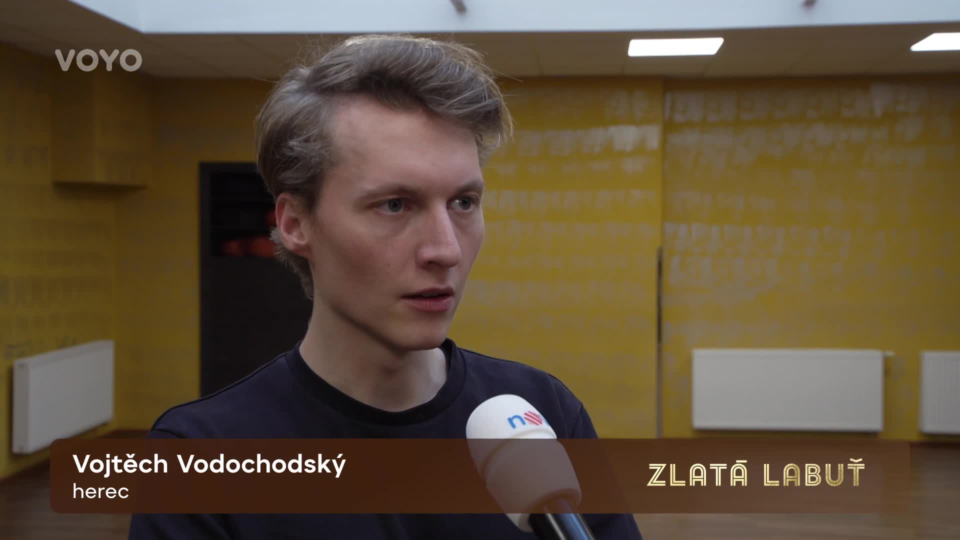 Bude Vojta dál s Kristýnou? Vodochodský naznačil, co ho čeká v nové sérii Zlaté labutě