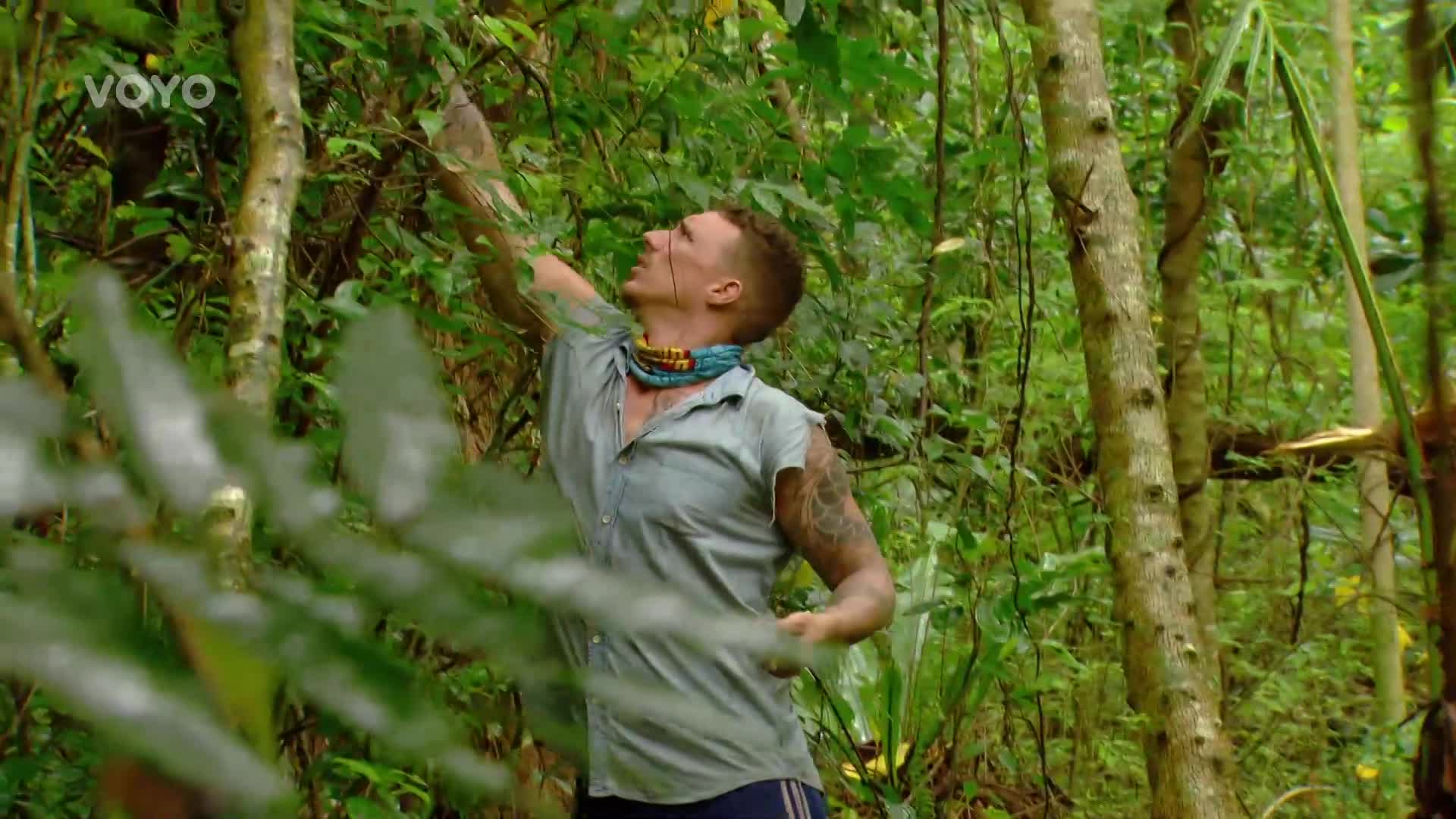 Odvážný plán v Survivoru: Soutěžící si chce postavit špehovací chatrč