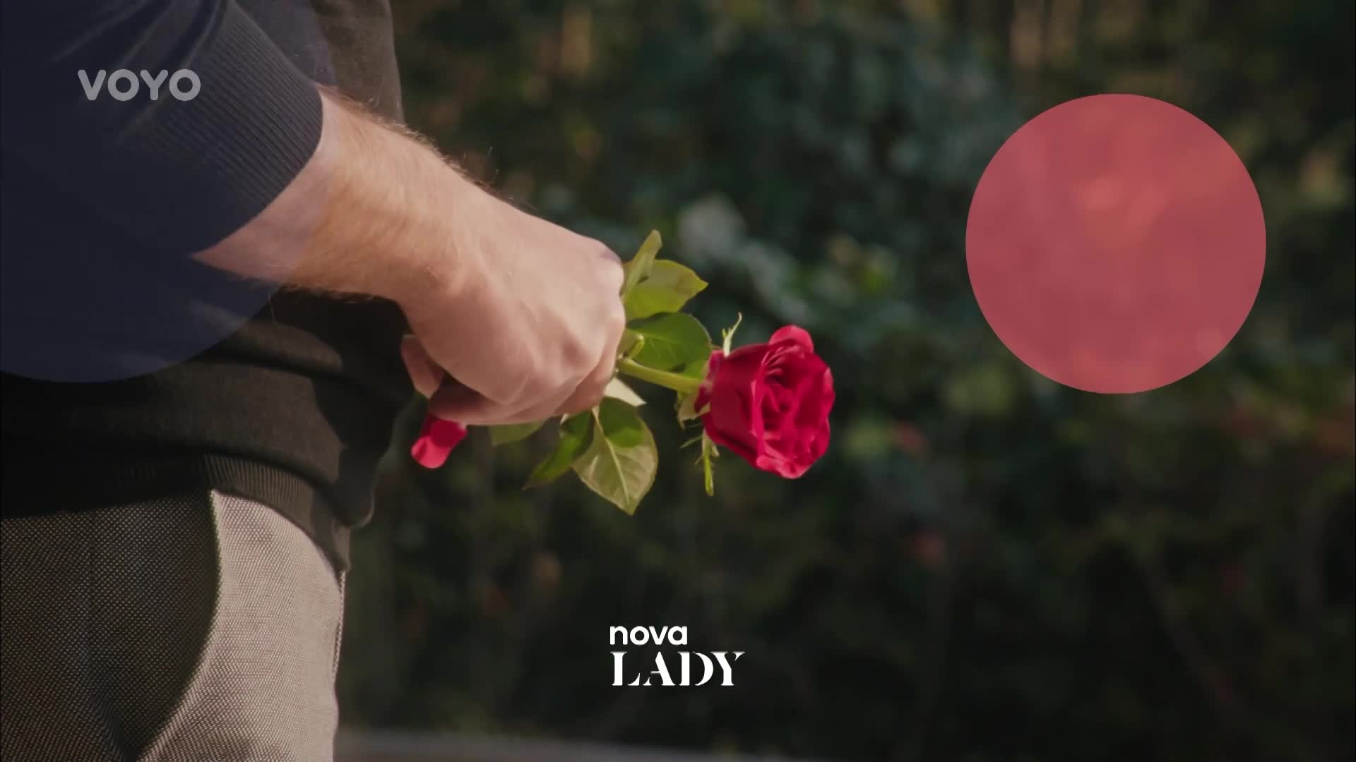 Zažijte na Nova Lady romantiku: Sledujte Nekonečnou lásku i Gilmorova děvčata