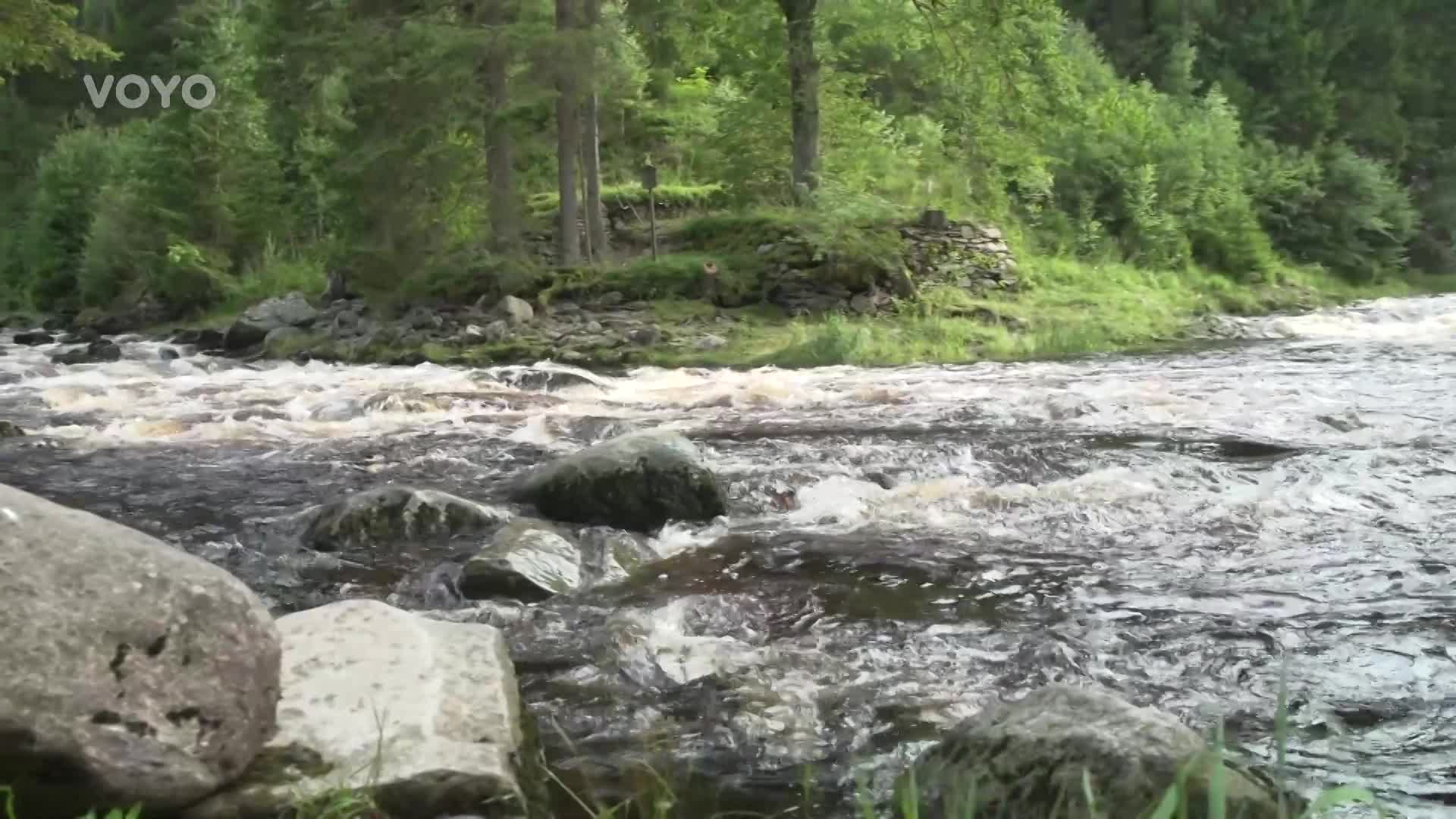 Rejštejn inspiroval známé básníky i skladatele! Prozradíme vám koho!