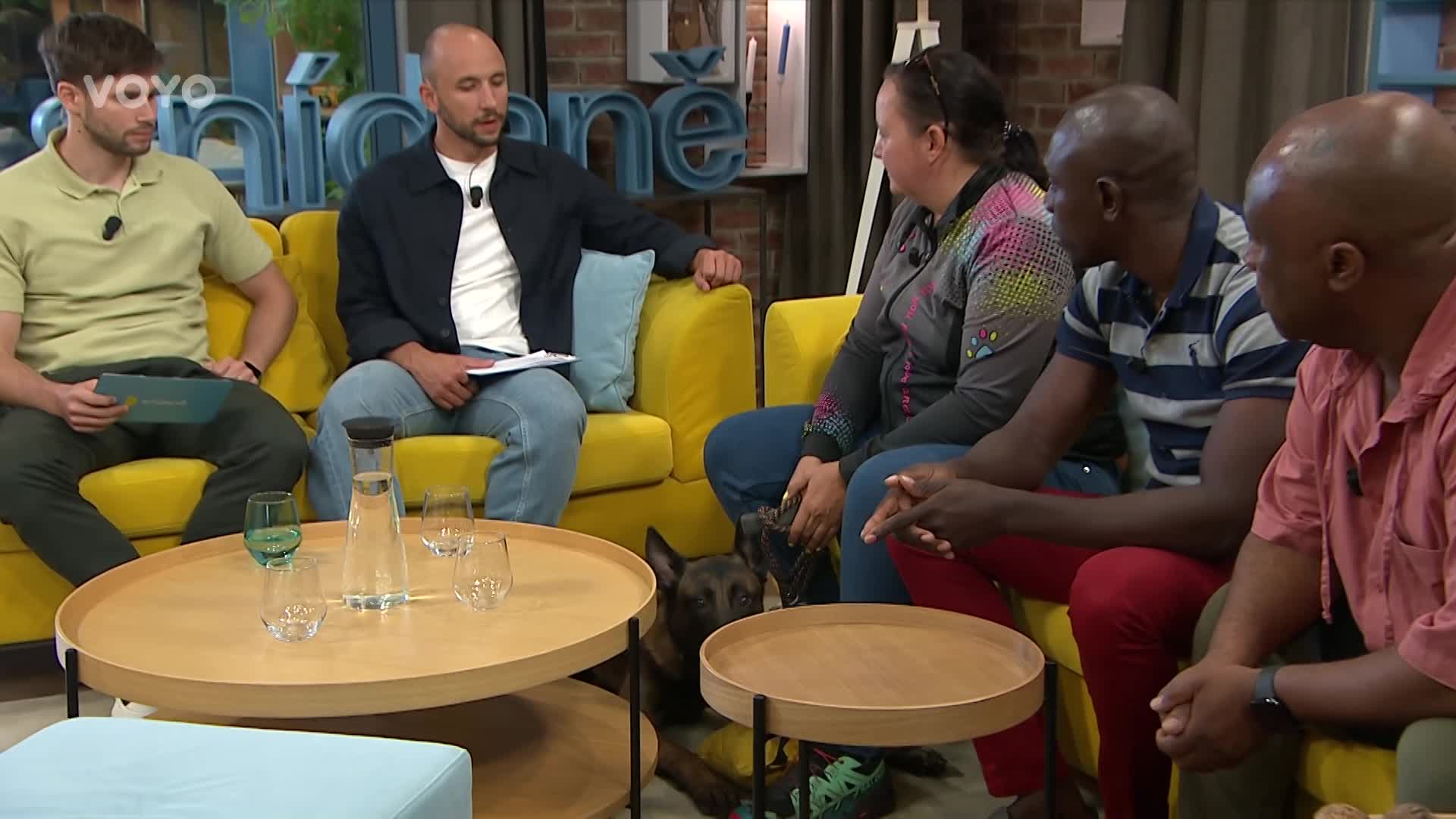 Psí hrdina Avatar navštívil Snídani. Rozkousal jim tam polštář