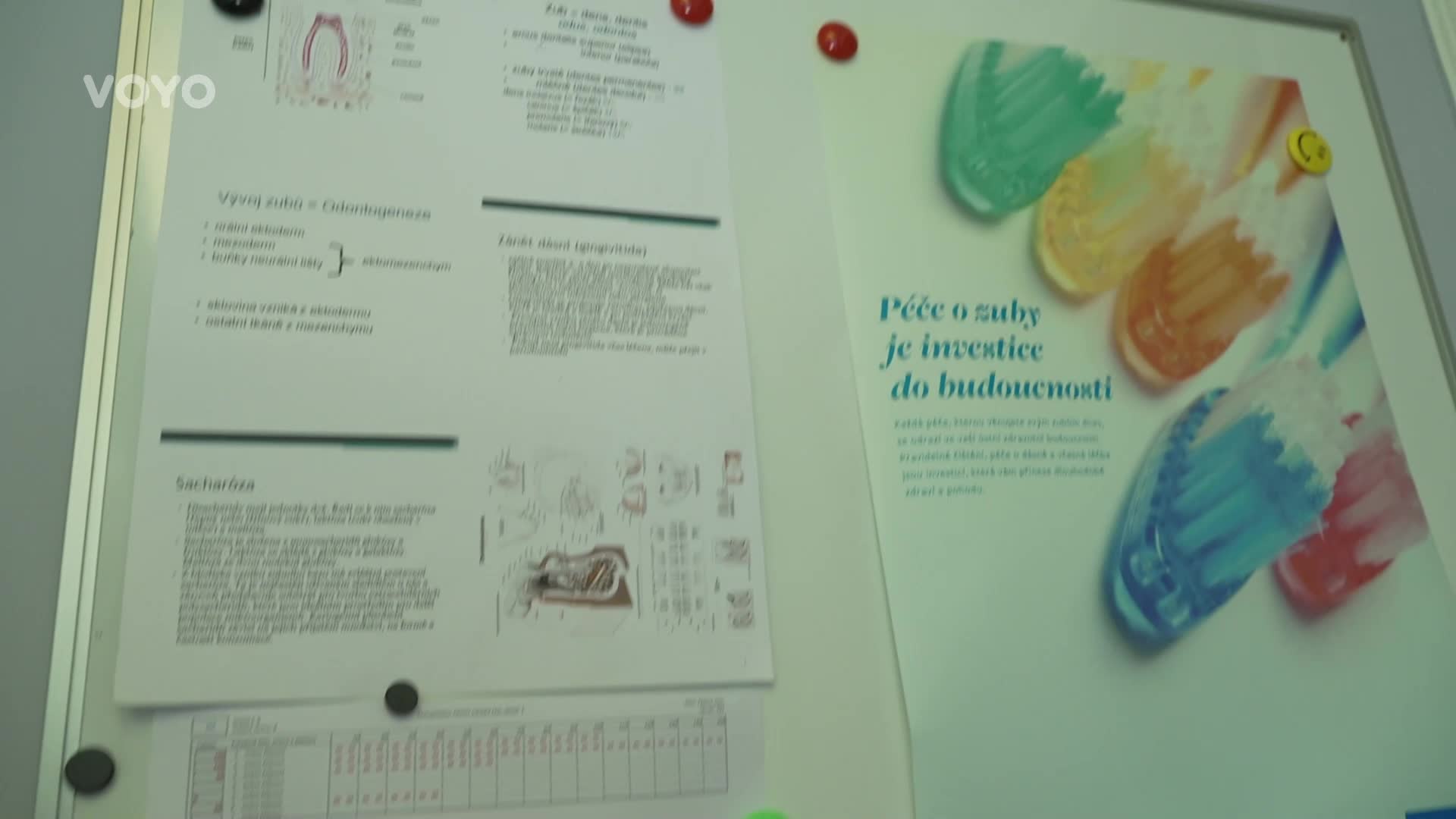 Nové prostředí v Ulici: Prohlédněte si podrobně Komoru zubních lékařů