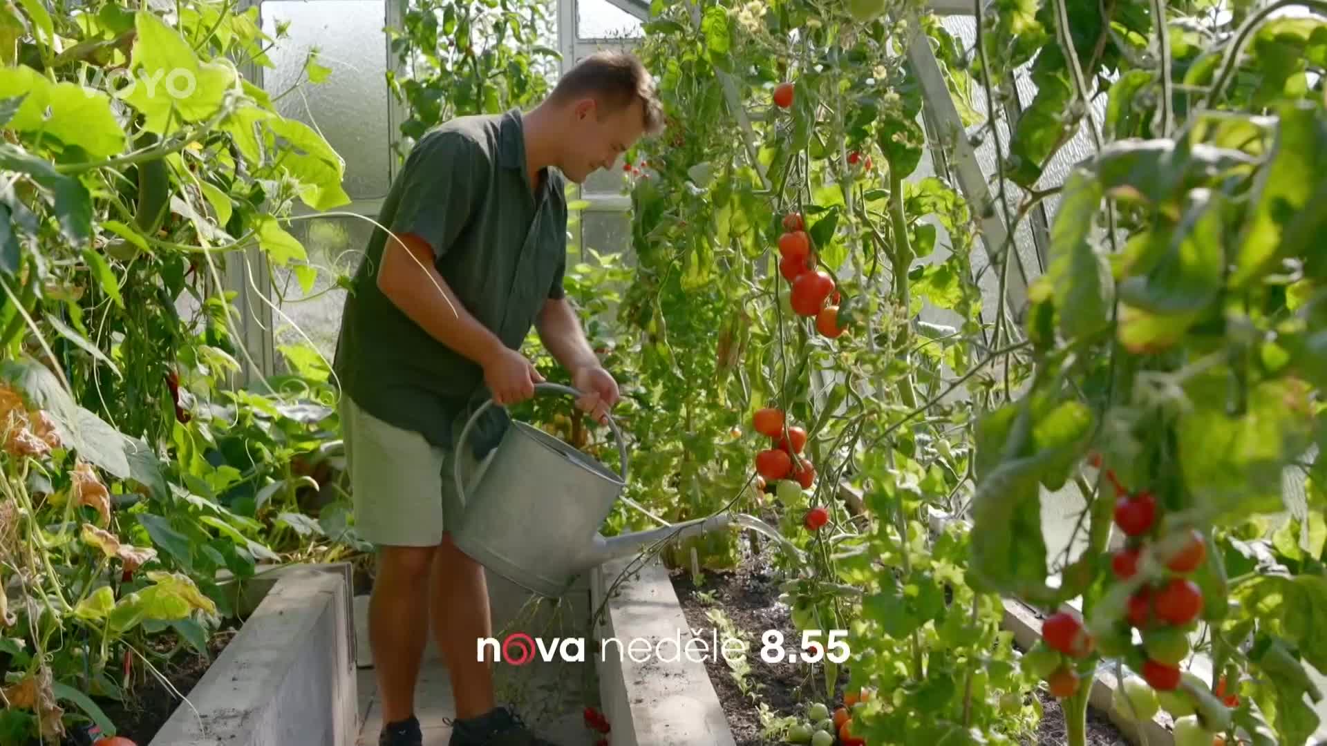 Vaše kouzelná zahrada: Poradí, jak zatočit s chorobami rostlin