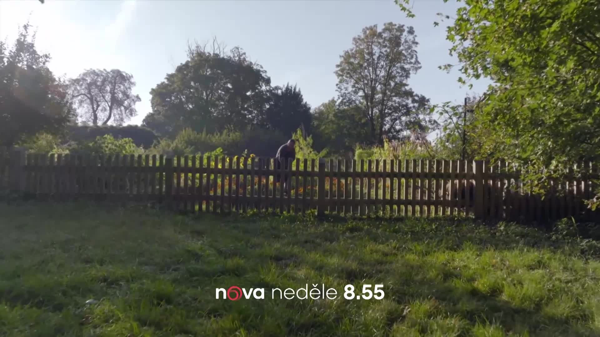 Vaše kouzelná zahrada: Pěstování pohanky má velké výhody