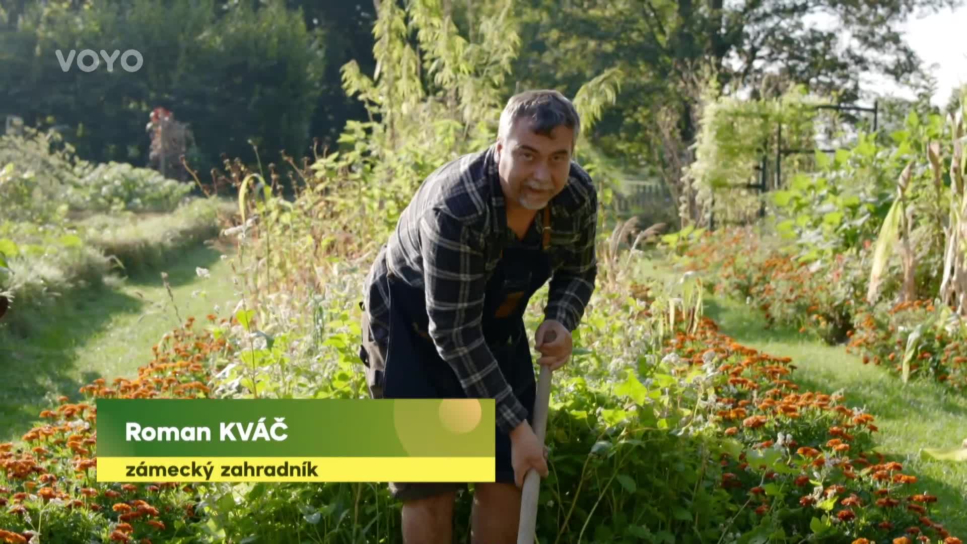Vaše kouzelná zahrada na podzim: Roman Kváč radí, co teď prospěje půdě