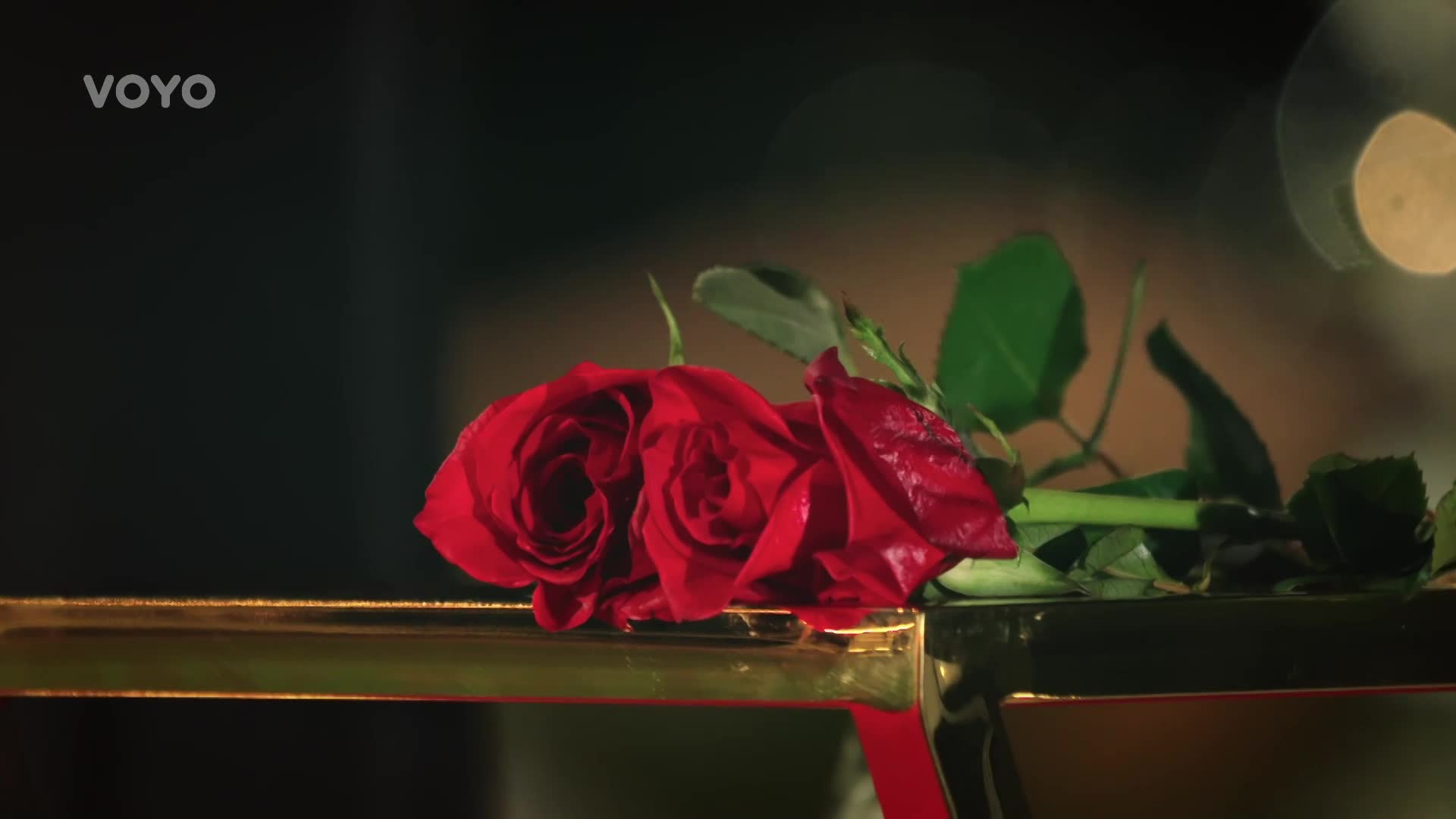 Bachelor Jan domů poslal další dívku. Eva a Sabina nemohly popadnout dech
