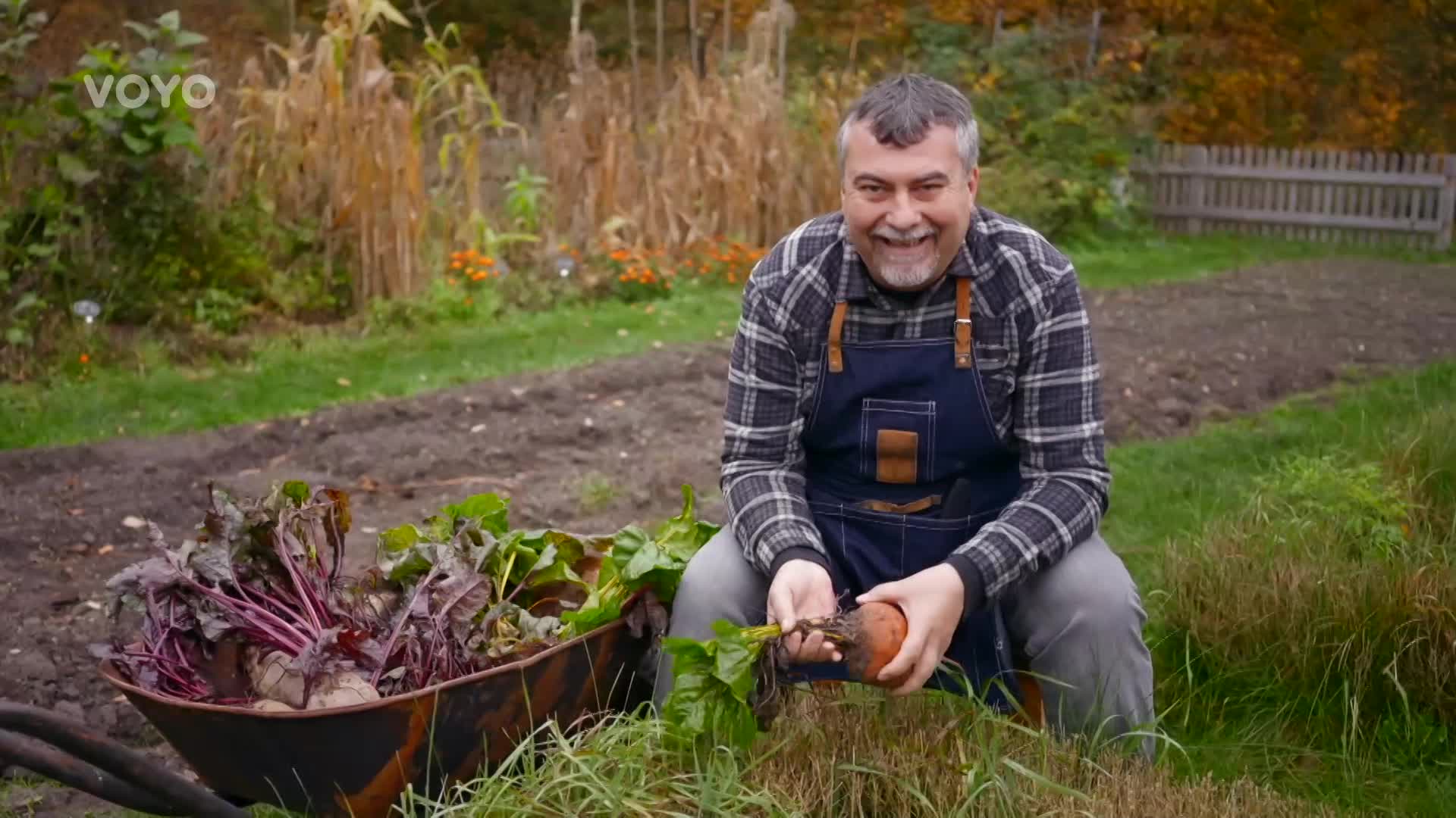 Superpotravina ze zahrádky: Kváč ve Vaší kouzelné zahradě radí, jak pěstovat řepu