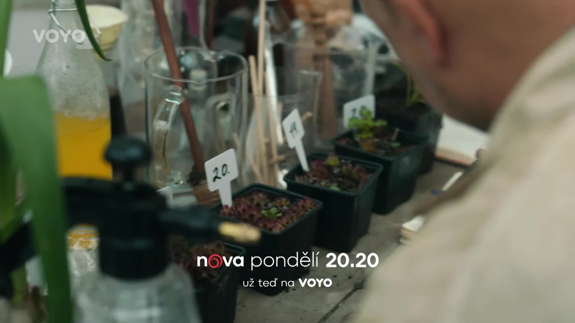 Kriminálka Anděl řeší další případ: Je vrahem zahradník?