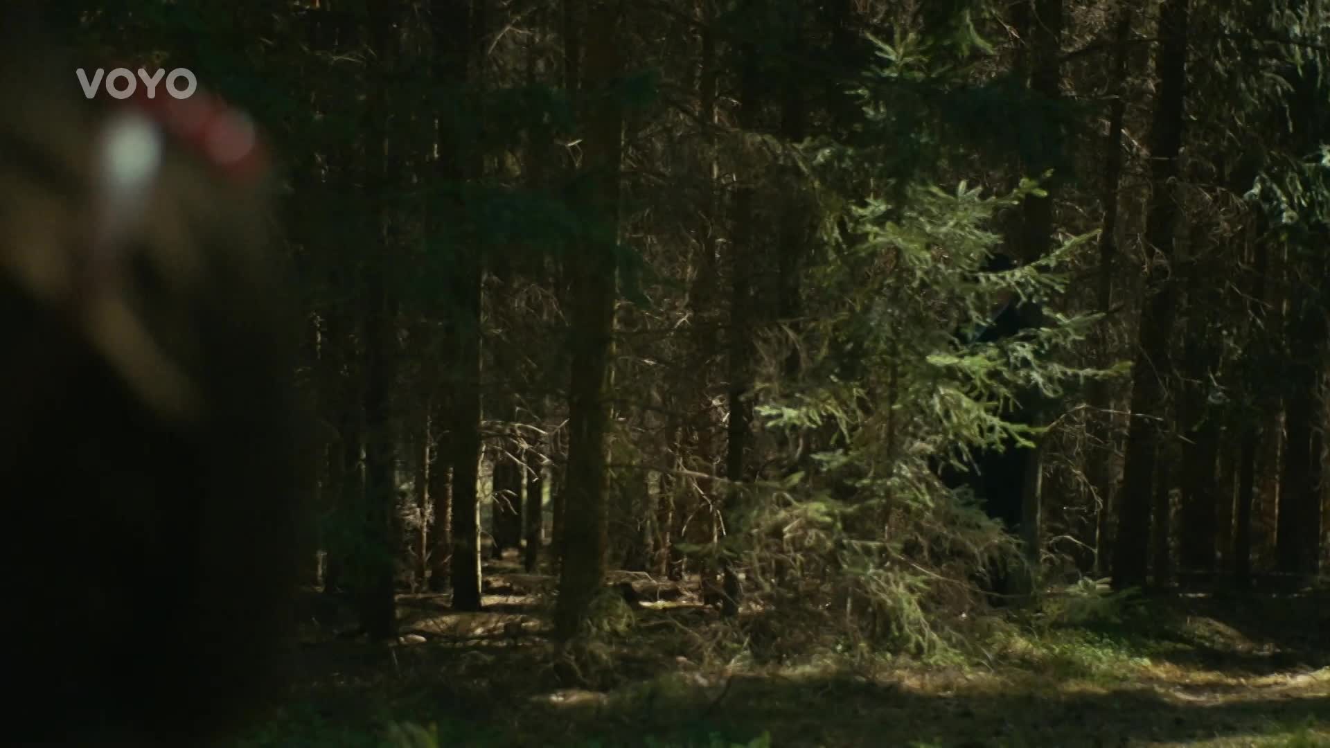 Adrenalin, hrdinské činy a fenomenální herecké výkony. První ukázka z Krále Šumavy už teď na nova.cz!