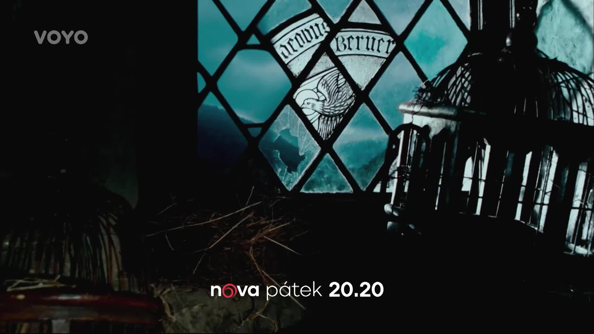 Kouzelnický kvíz ze světa Harryho Pottera: Jak dobře se vyznáte ve Fénixově řádu?