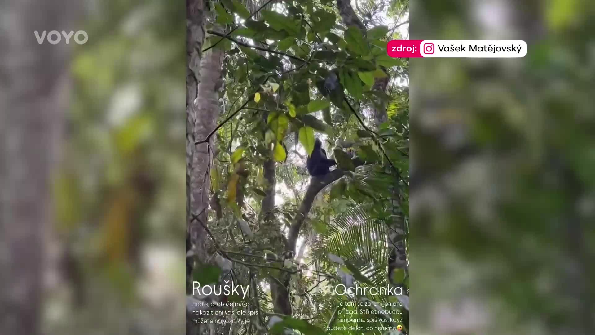 Nebezpečí na každém rohu. Štáfek a Matějovský prchli do Ugandy