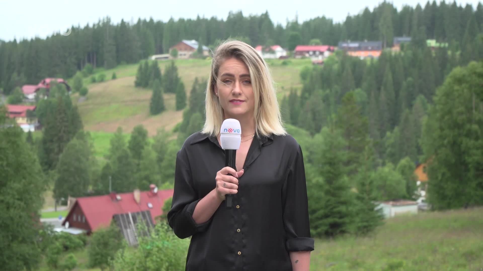 Klokani na Šumavě? Ano! V samotném srdci Modravy!