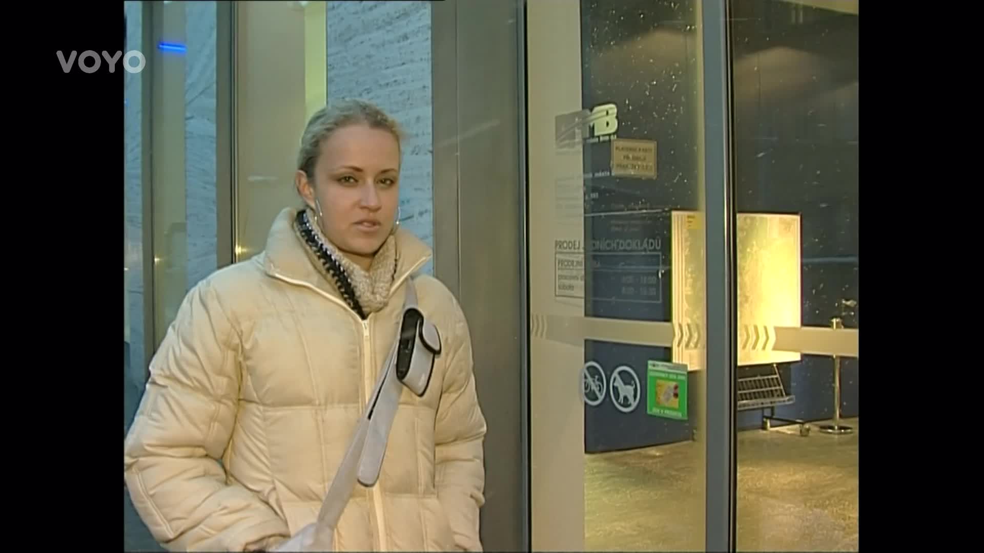 Nejnenáviděnější profese v Česku: Být revizorem je pěkná fuška