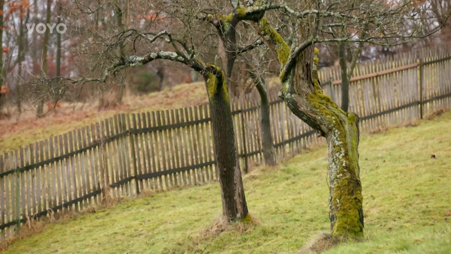 Takhle chalupaří umělecký sklář Hoineff: Nekouká na televizi, ale z okna