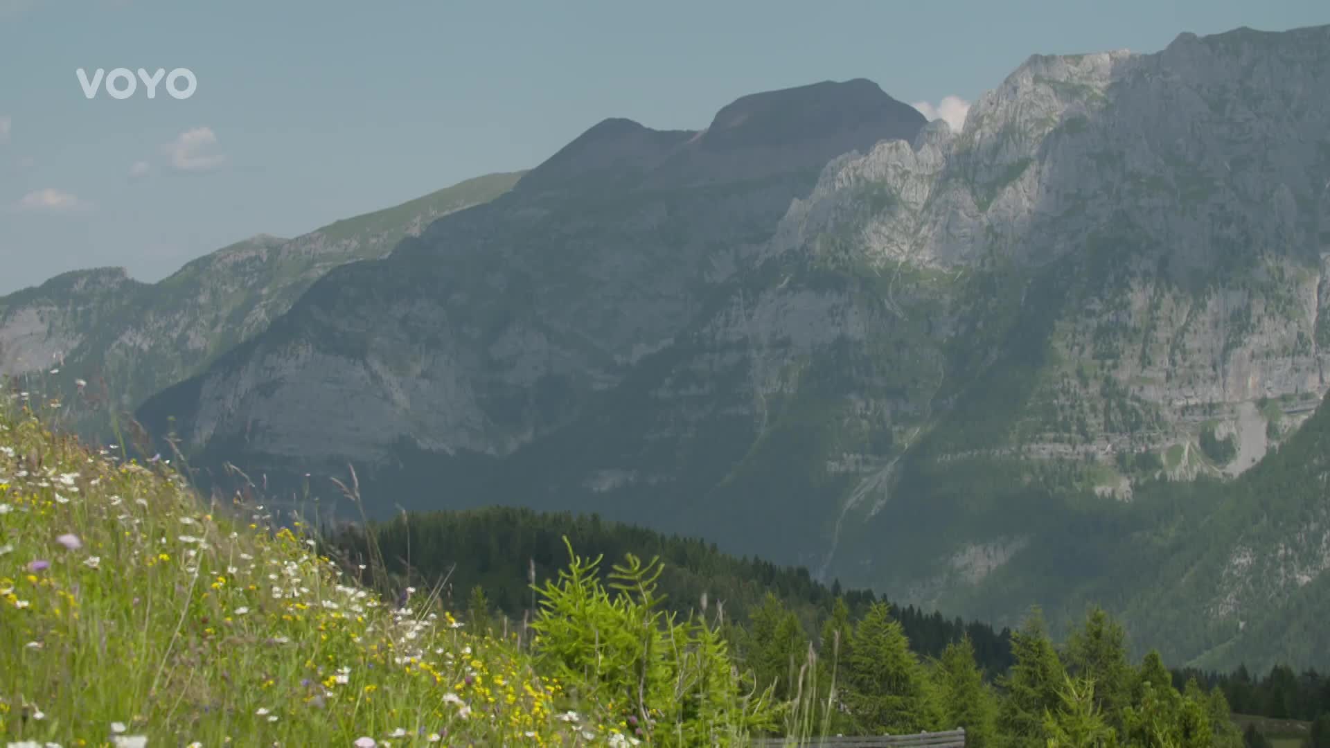 Česká stopa v Dolomitech: Proč umí italské ženy dokonalé švestkové knedlíky?