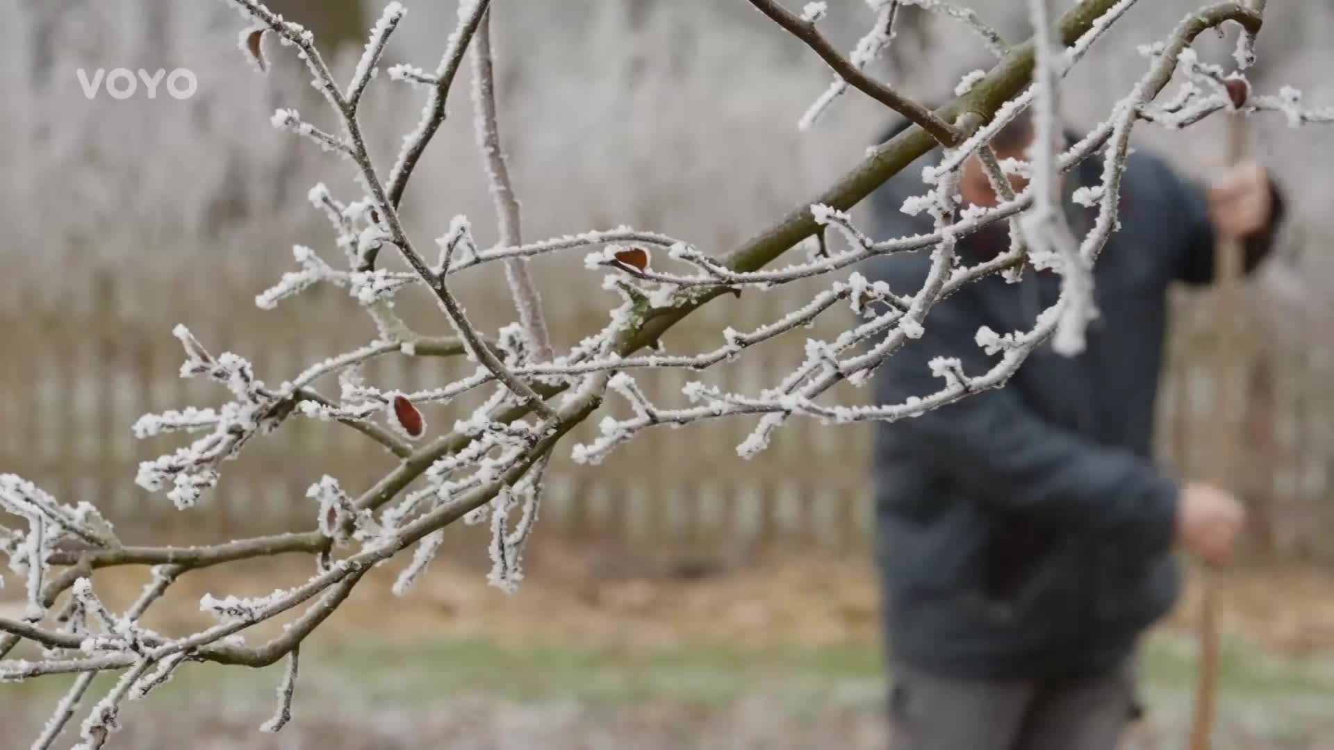 Roman Kváč z Vaší kouzelné zahrady radí: Semena musí zažít jarní chlad