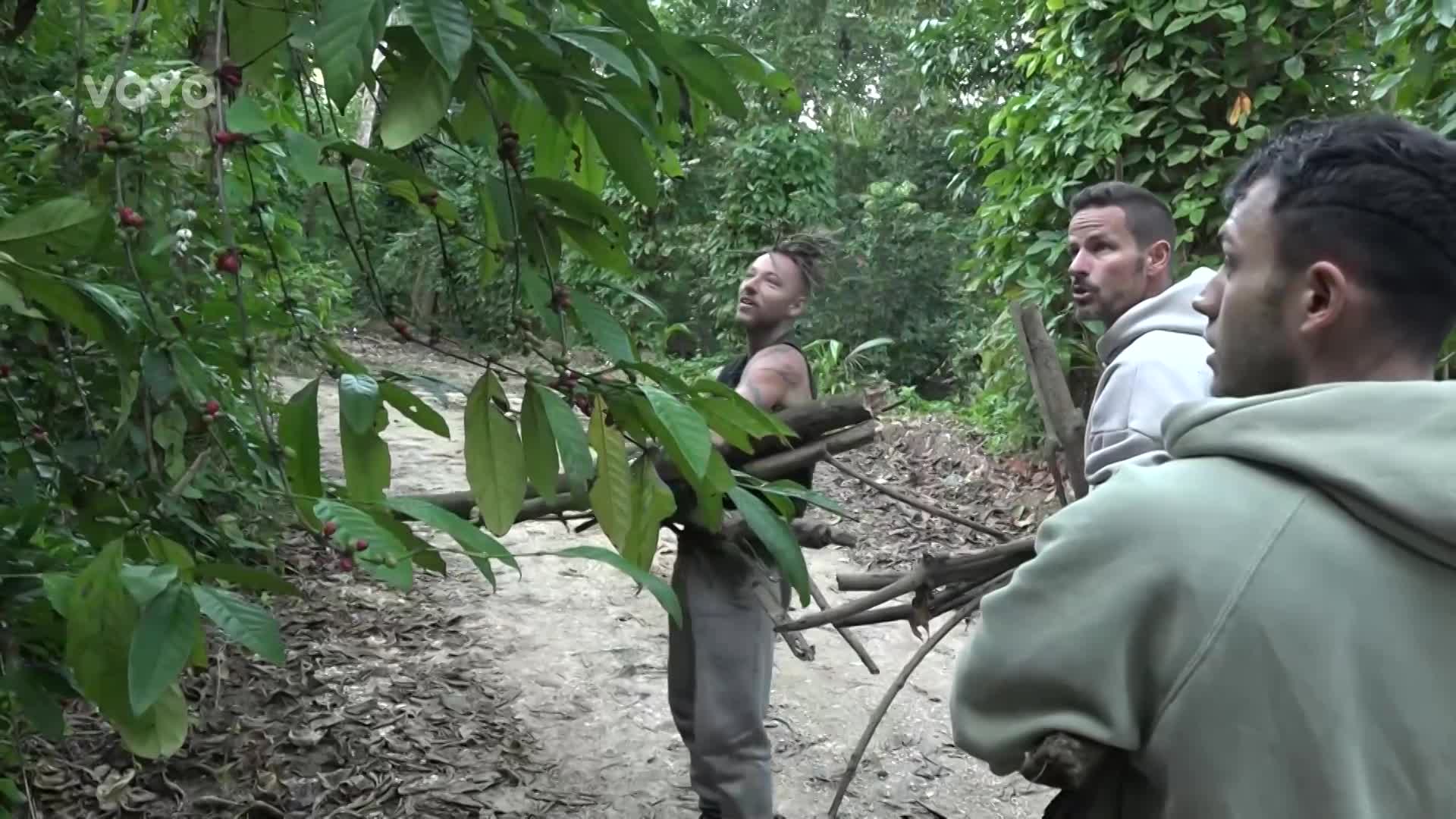 Lovci objevili v Survivoru svatý grál: Našli kávová zrna