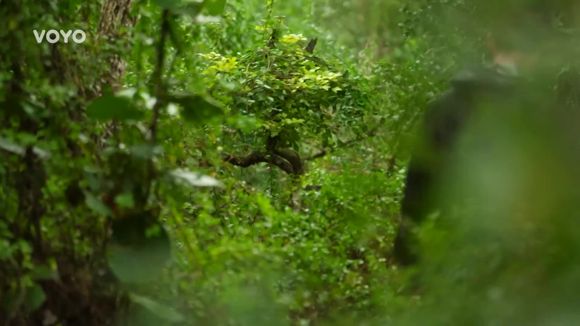 SPOILER: Mikýř dal Ivaně skrytou imunitu: Srdečné gesto, nebo taktika?