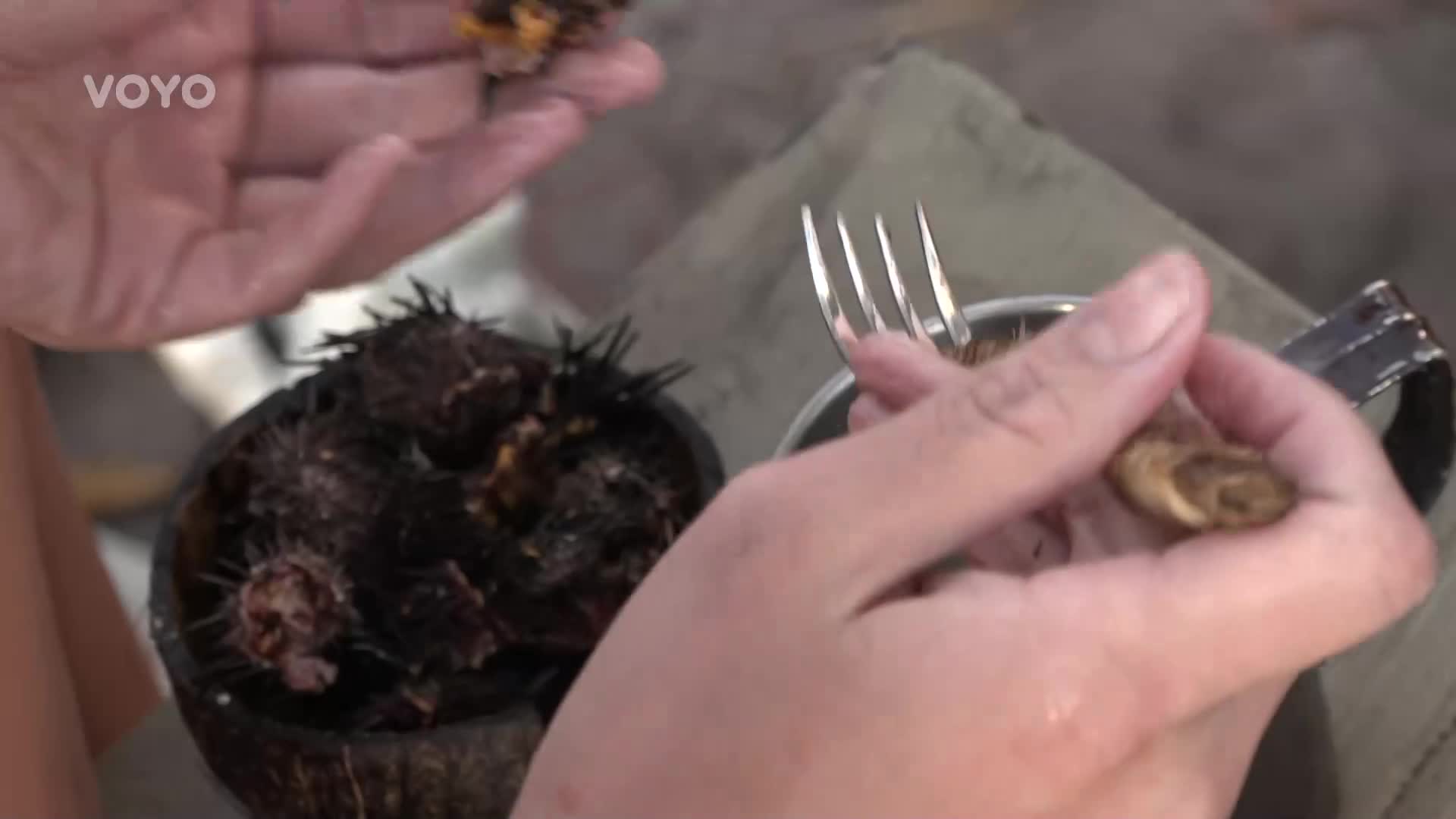 Hlad v Survivoru je neúprosný: Yenifer dohnal k zoufalému činu