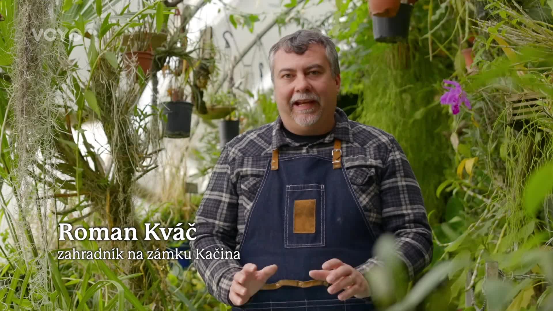 Roman Kváč z Vaše kouzelná zahrada: Prozradí, kdy je ideální pěstovat rajčata