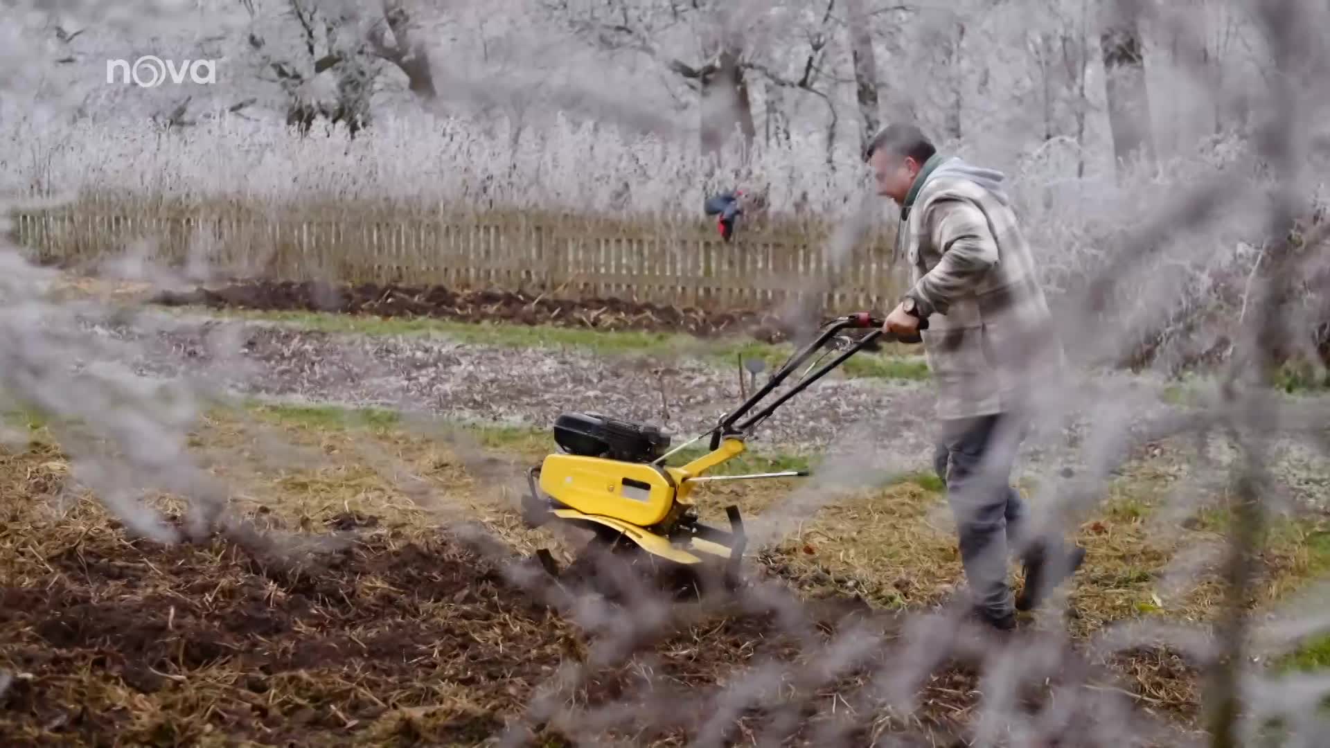 Kváč z Vaší kouzelné zahrady jde svou cestou: Vynechává zbytečnou chemii