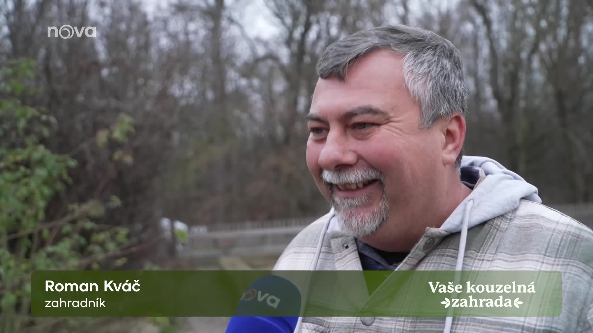 Protahování je základ: Zahradničení vám pomůže k vysněné postavě