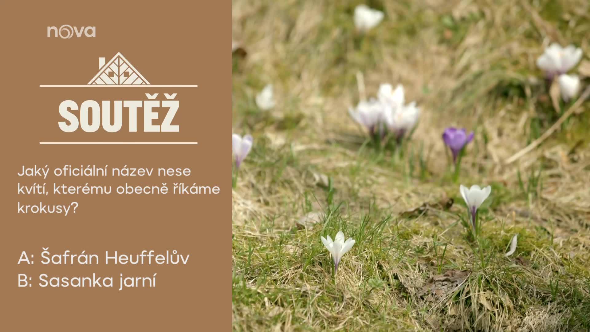 Soutěžte s pořadem My, chalupáři o čtvercovou pánev