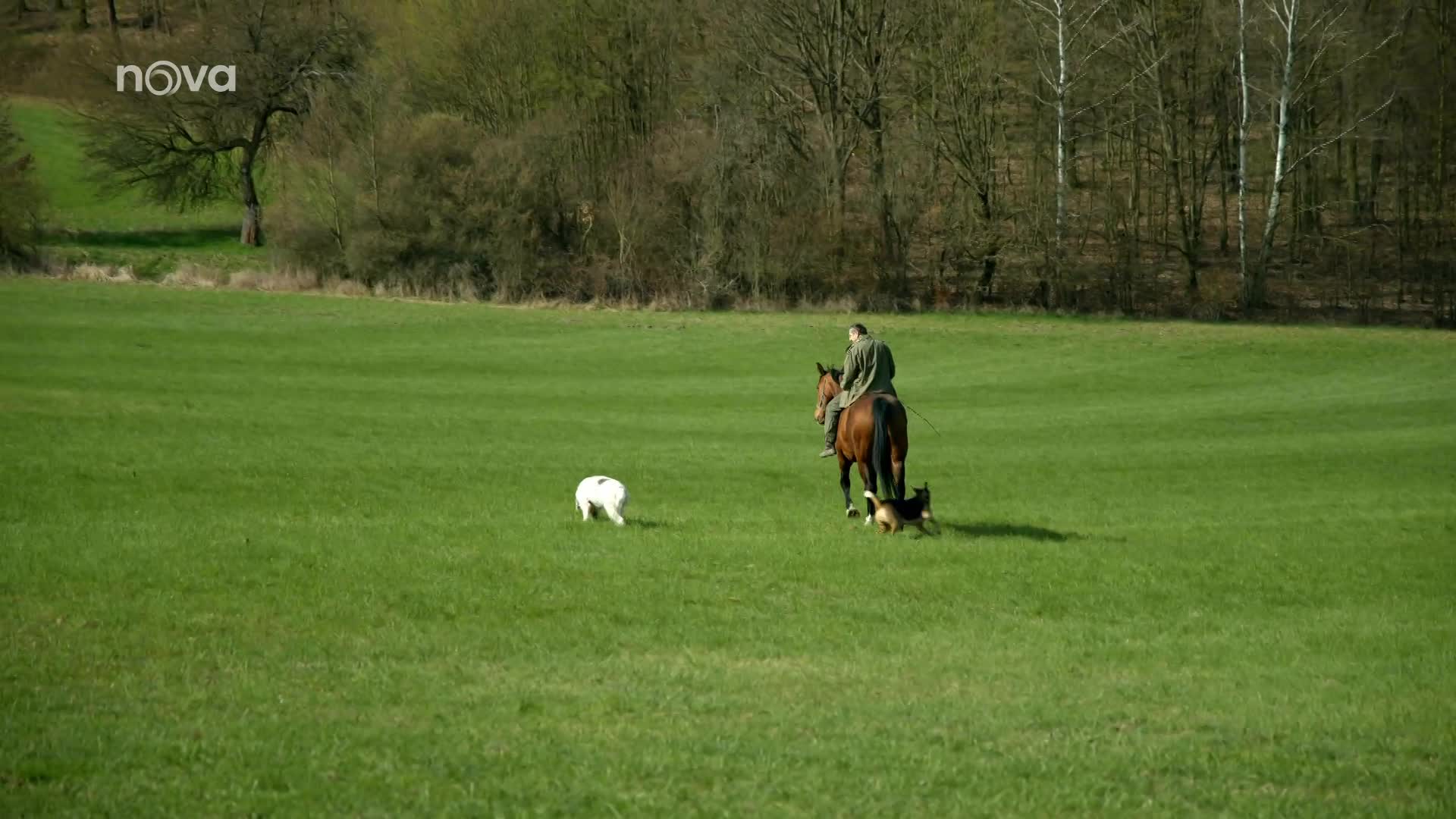 Na návštěvě na statku Václava Vydry. Prozradil, proč jeho koně nemají podkovy