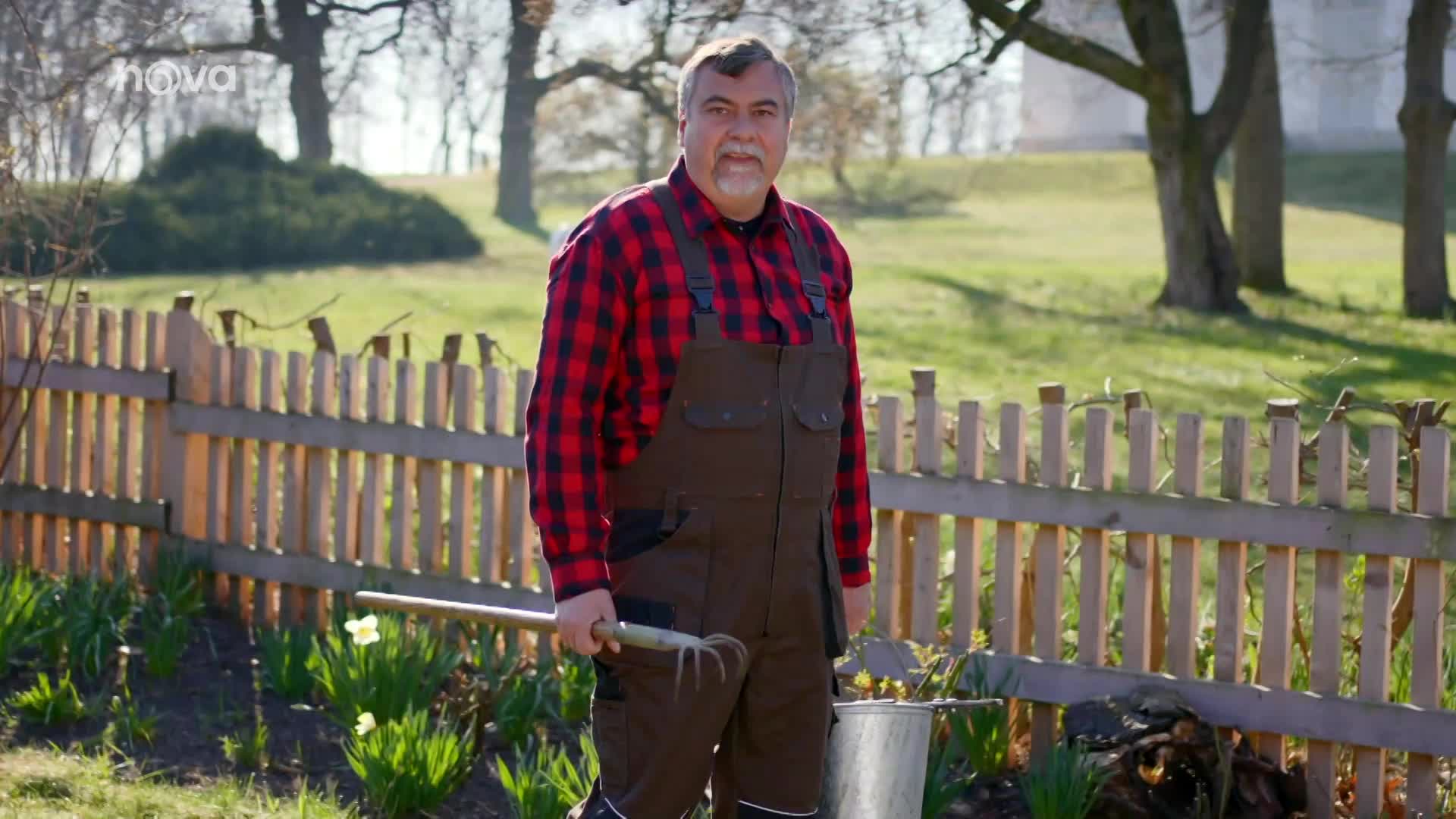 Česko bylo největším producentem rybízu na světě. Jeho pěstování ale ubývá