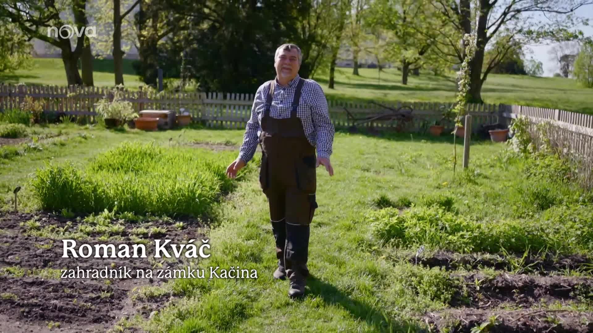 Angrešt je ovocný poklad plný vitaminů a minerálů