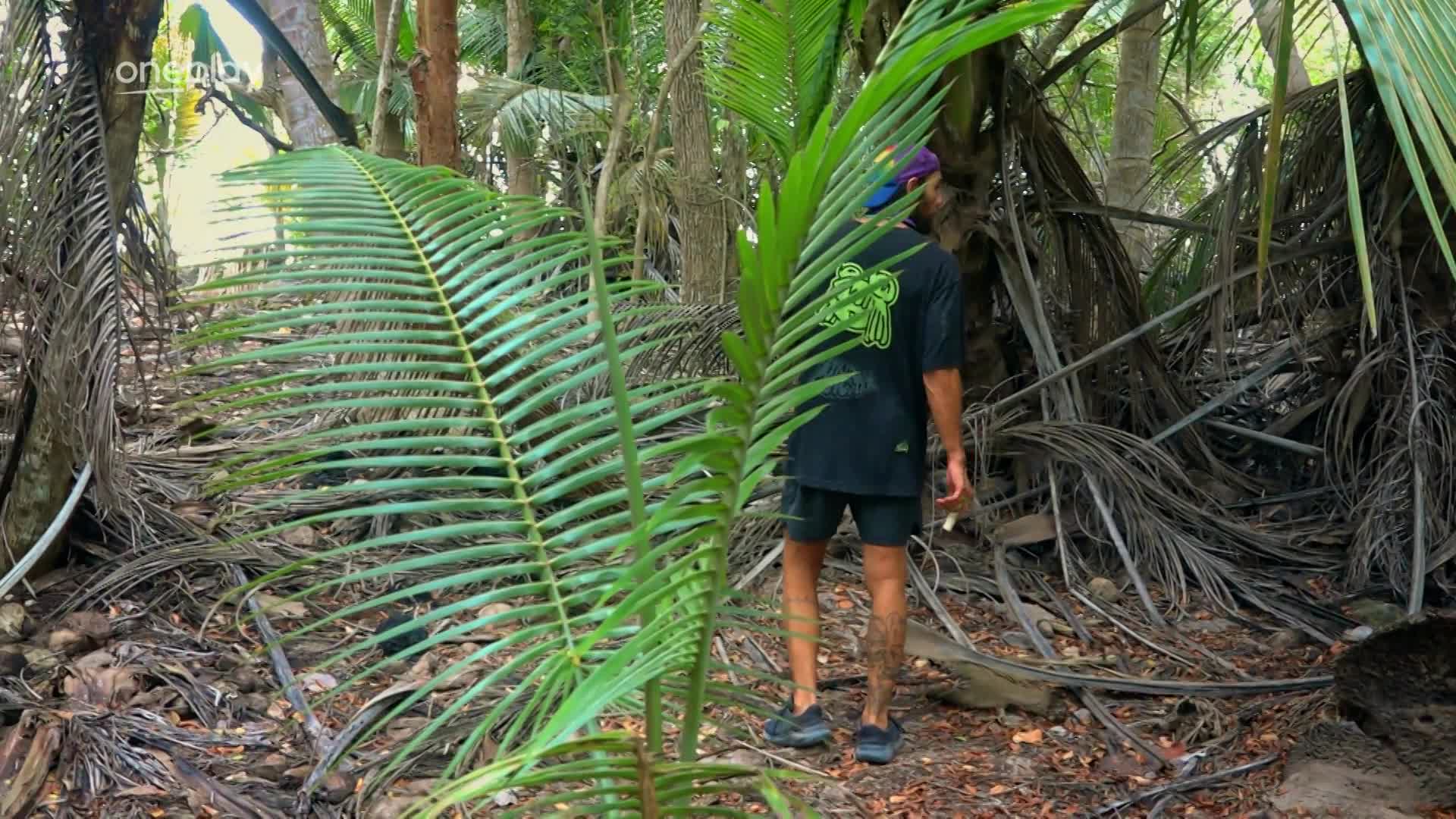 Čtvrtý nález Renneho v Survivoru: Dobrovolně se ho vzdal