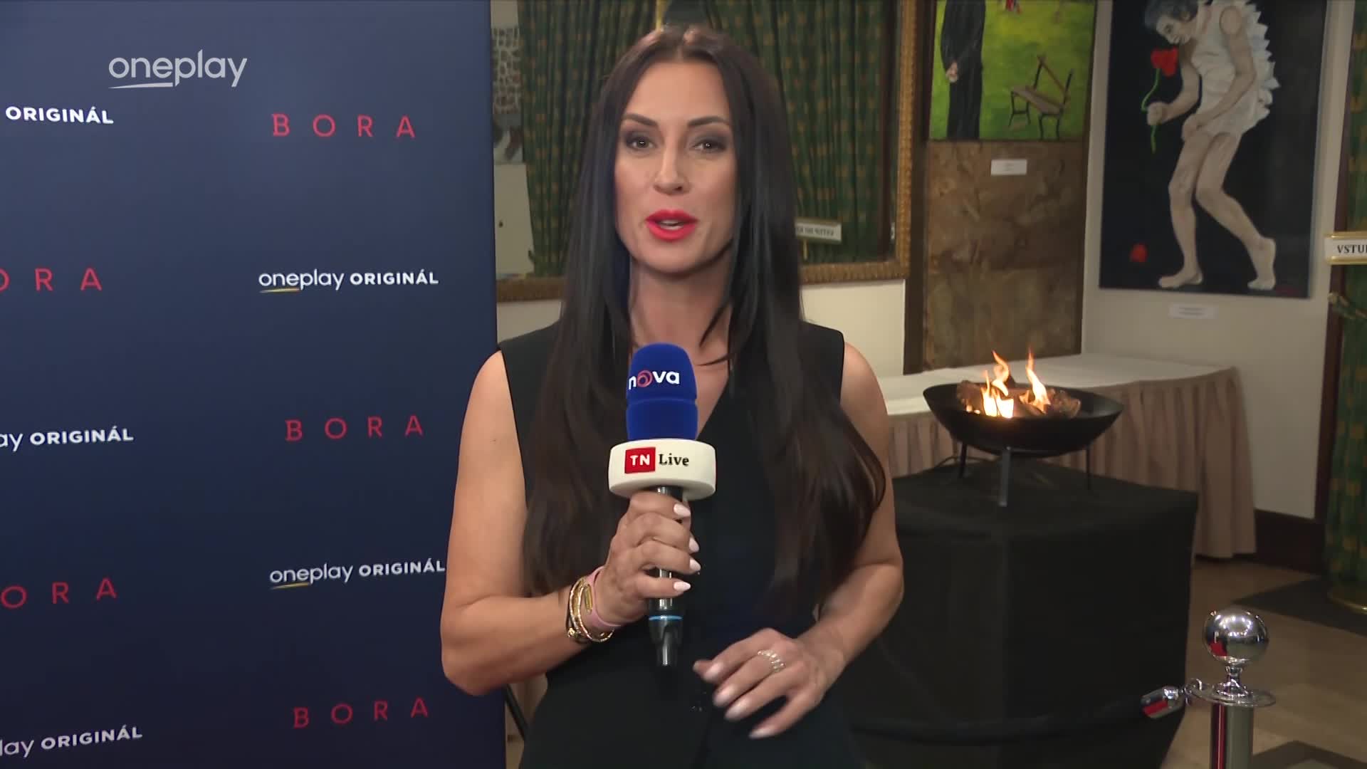 Premiéra Bory v Lucerně: Dorazili Aňa Geislerová a další hvězdní hosté