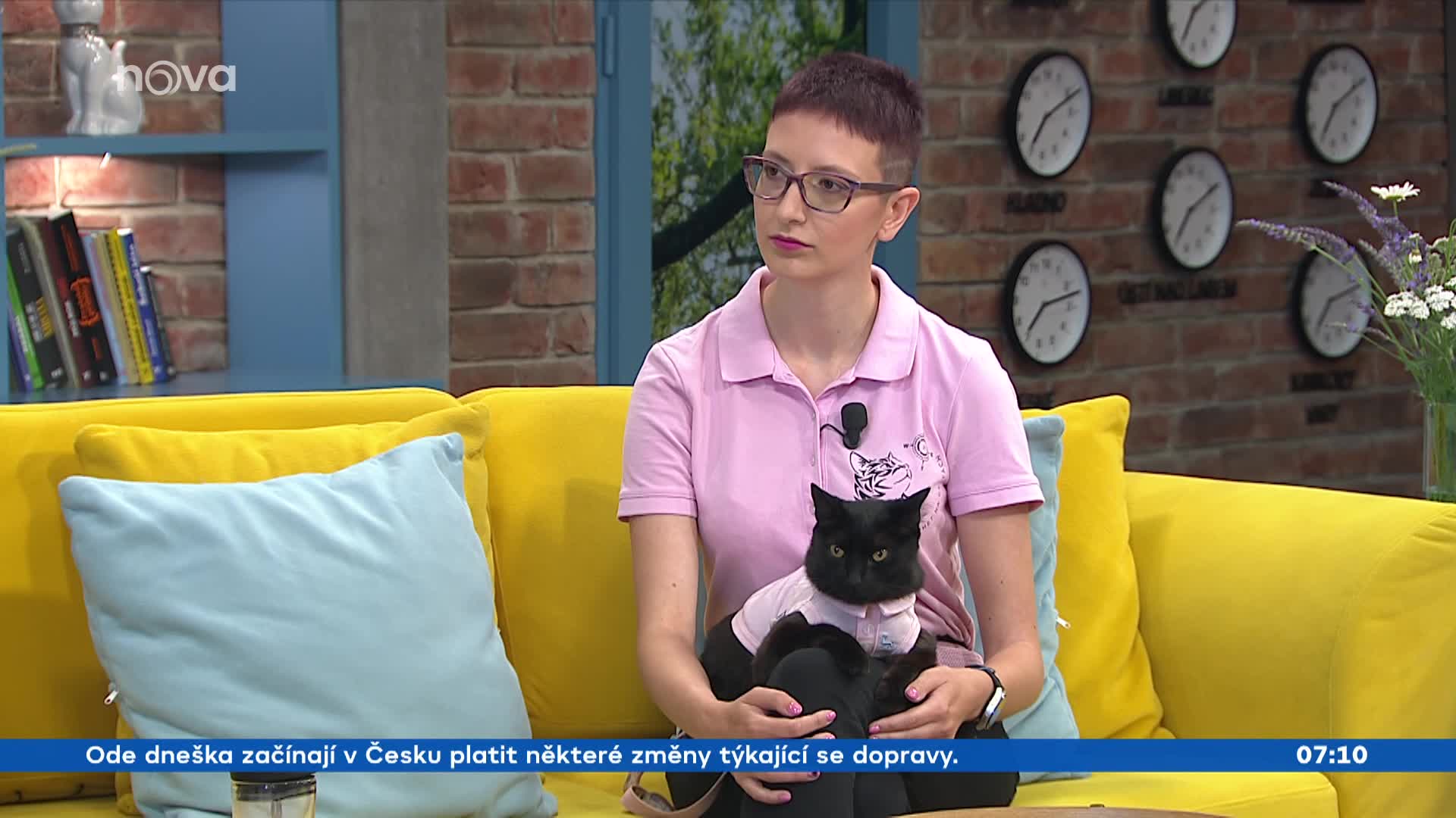 Kočka dělá zázraky: Díky ní mě nemusí odvážet sanitka, říká její majitelka