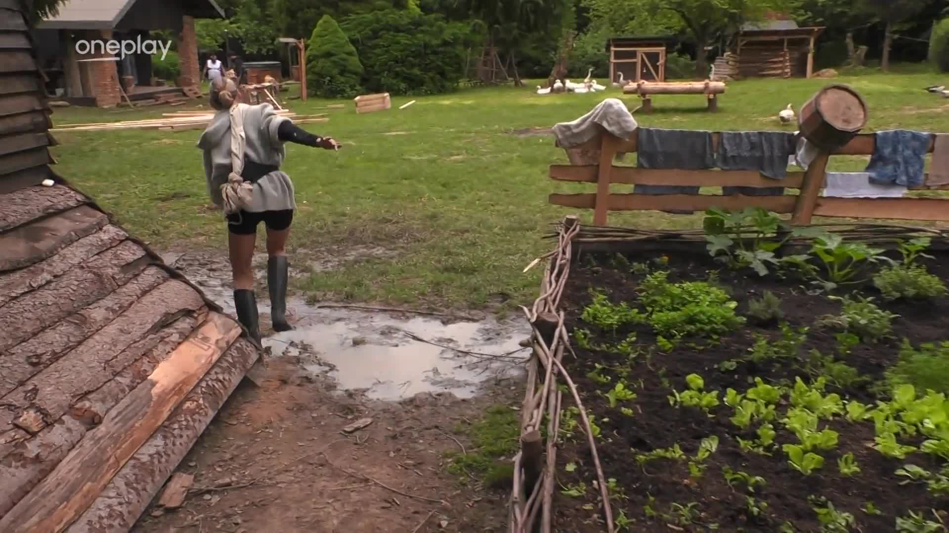 Na Farmě se rozmohl nešvar. Místo lidí jsou tam jen samá zvířata